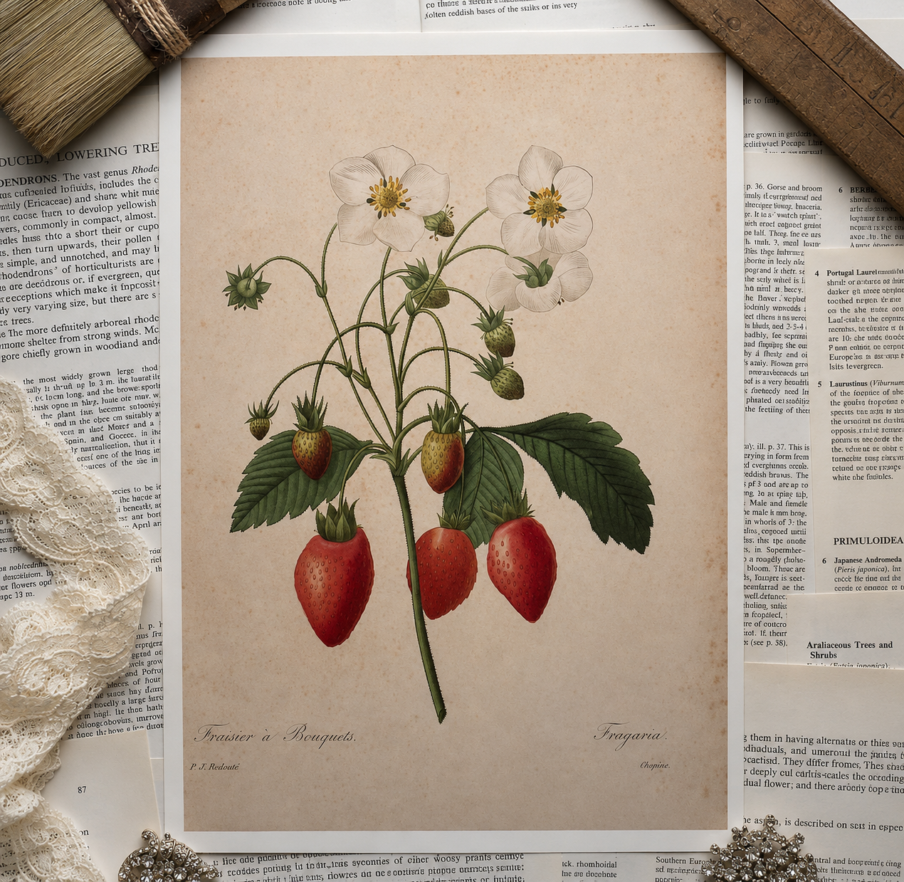 Vintage Strawberry Book Page
