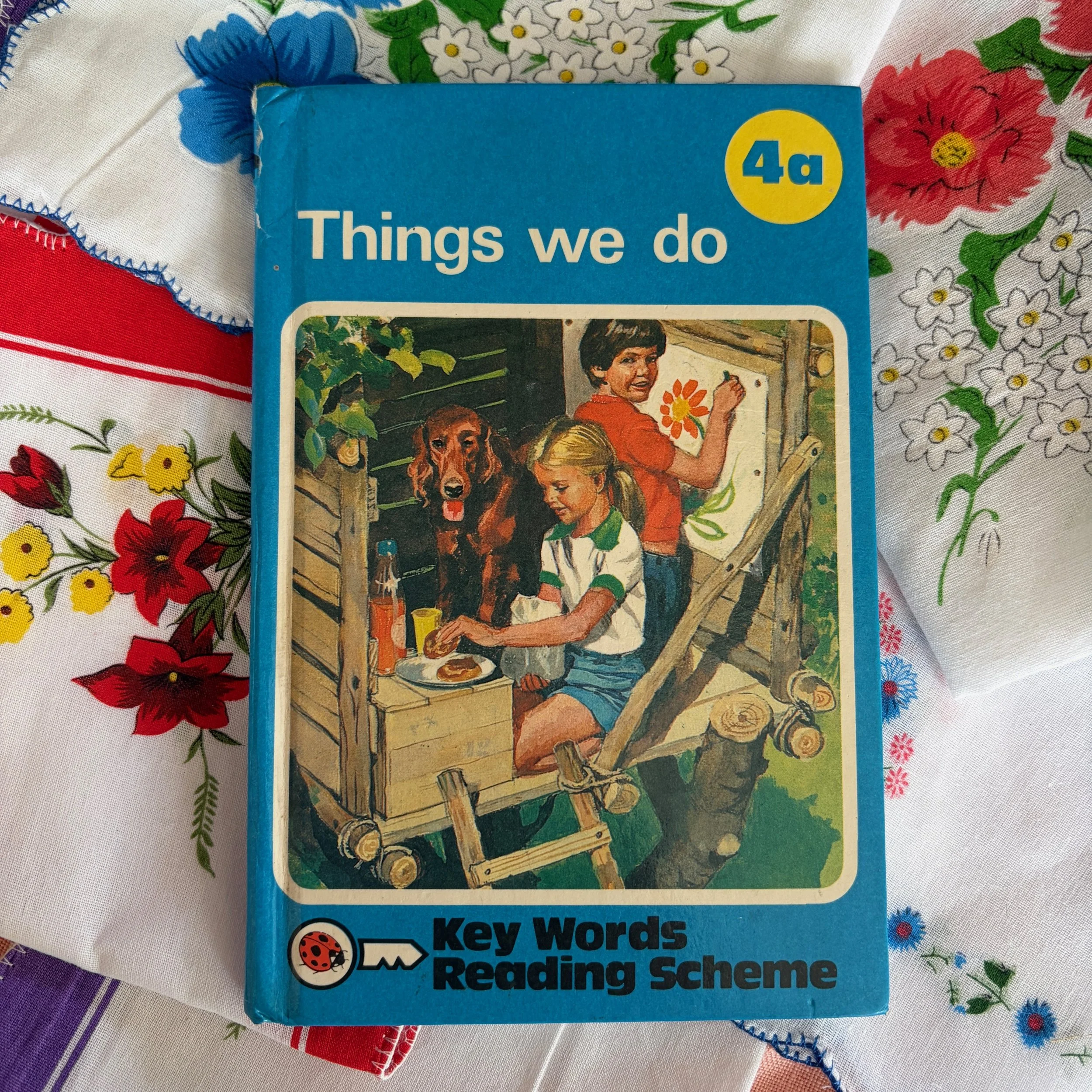 Things We Do Ladybird Book