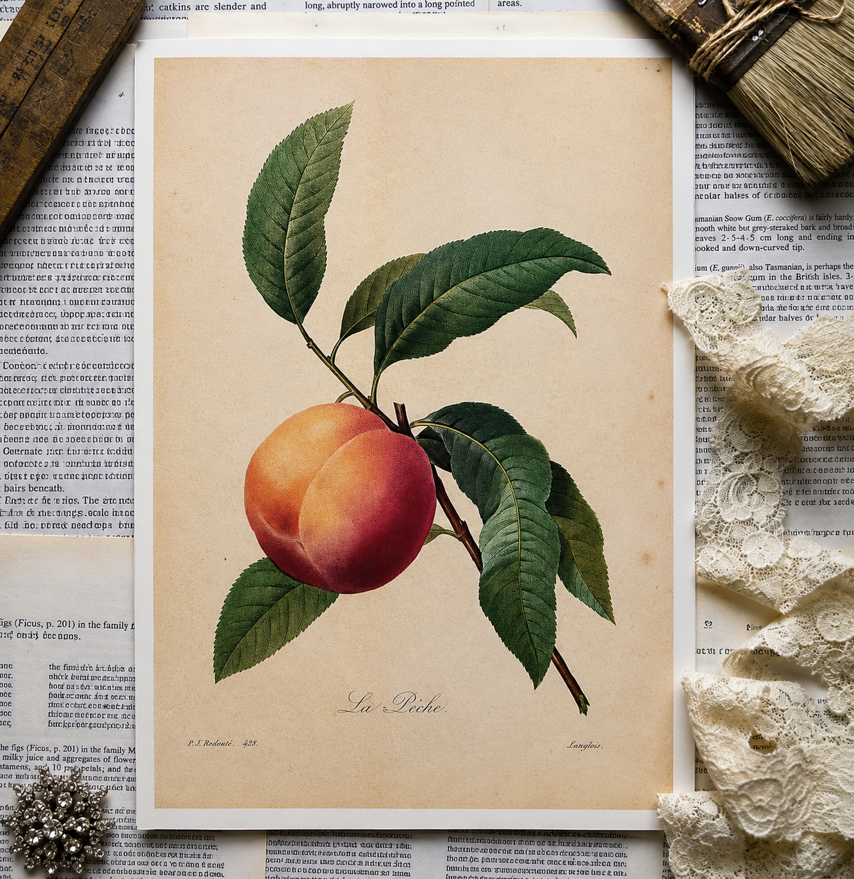 Vintage Peach Book Page
