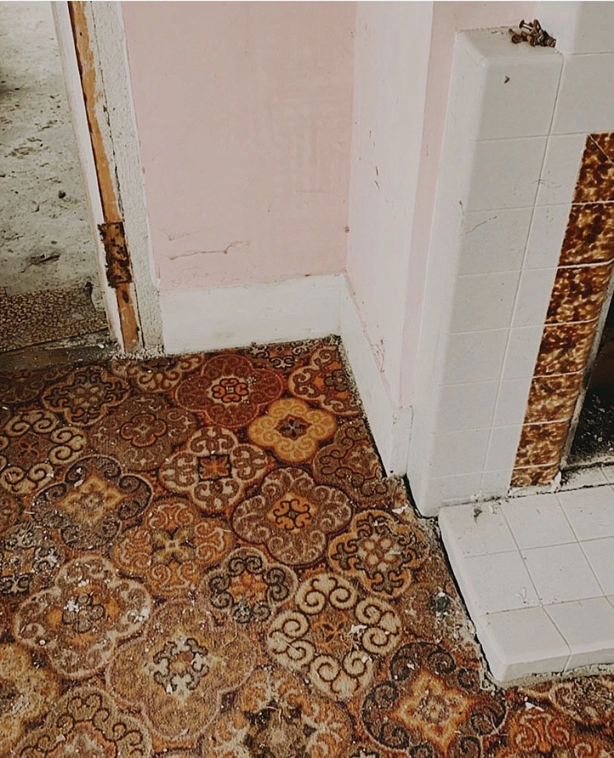 Wild Carpets