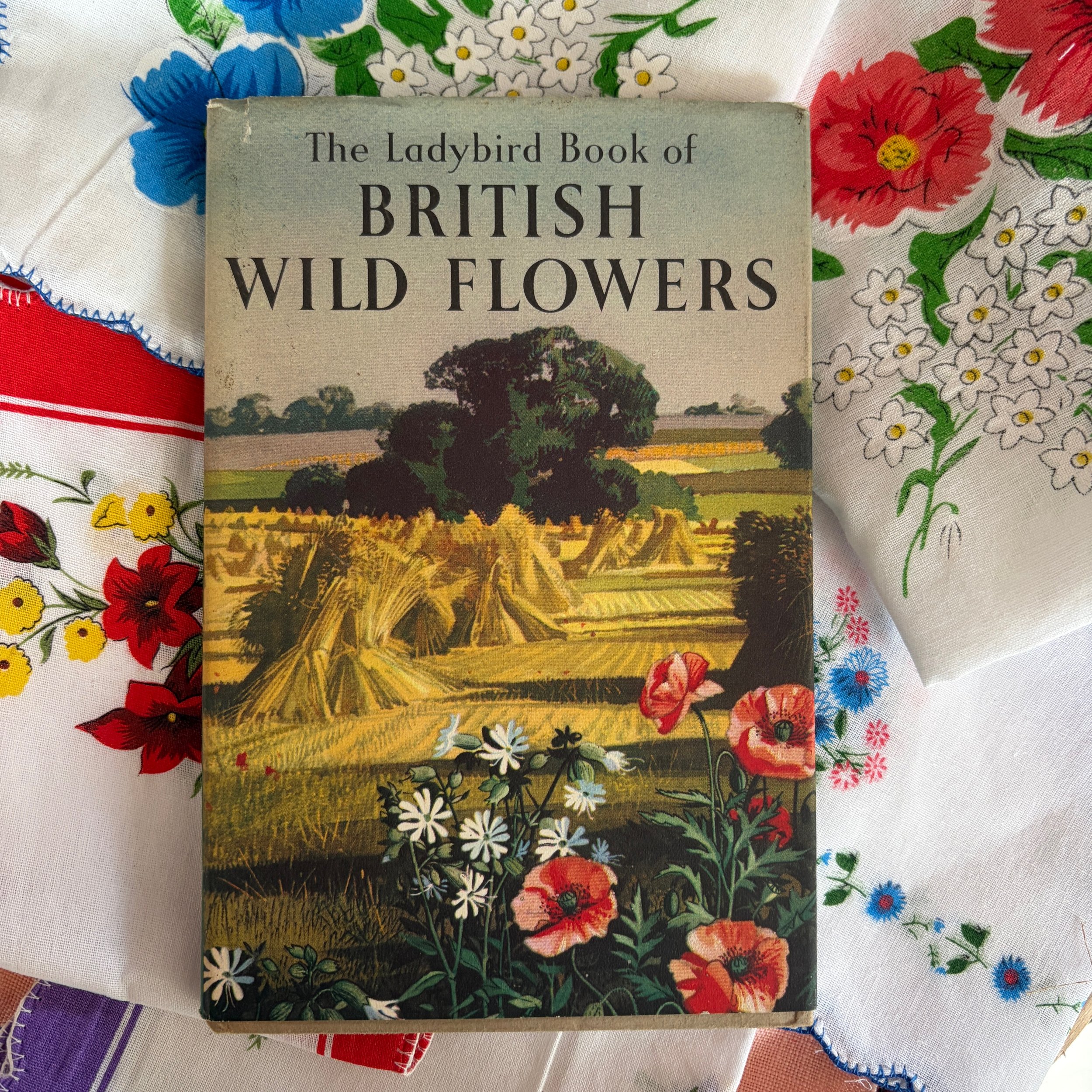 British Wild Flowers Ladybird Book