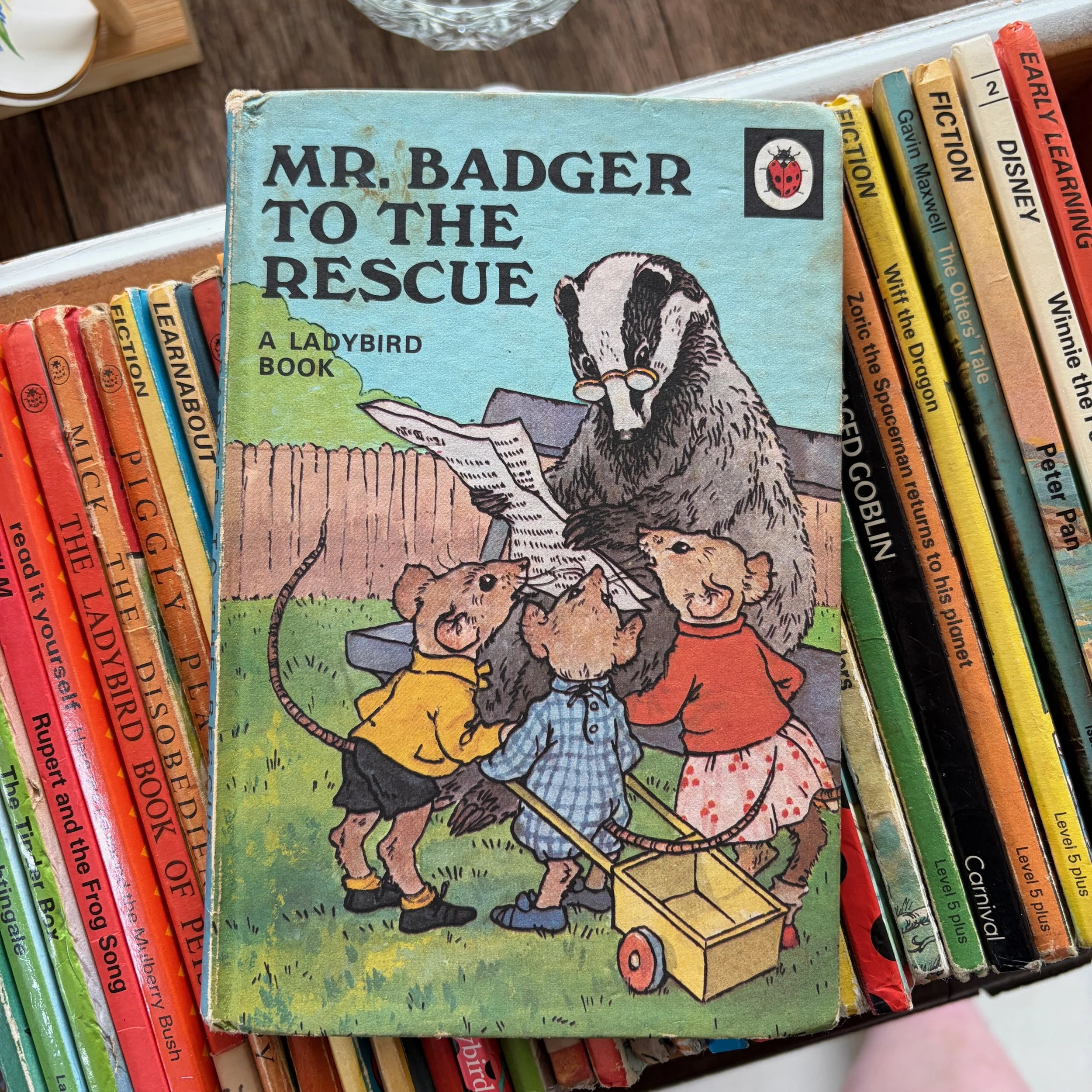 Mr. Badger To The Rescue Ladybird Book