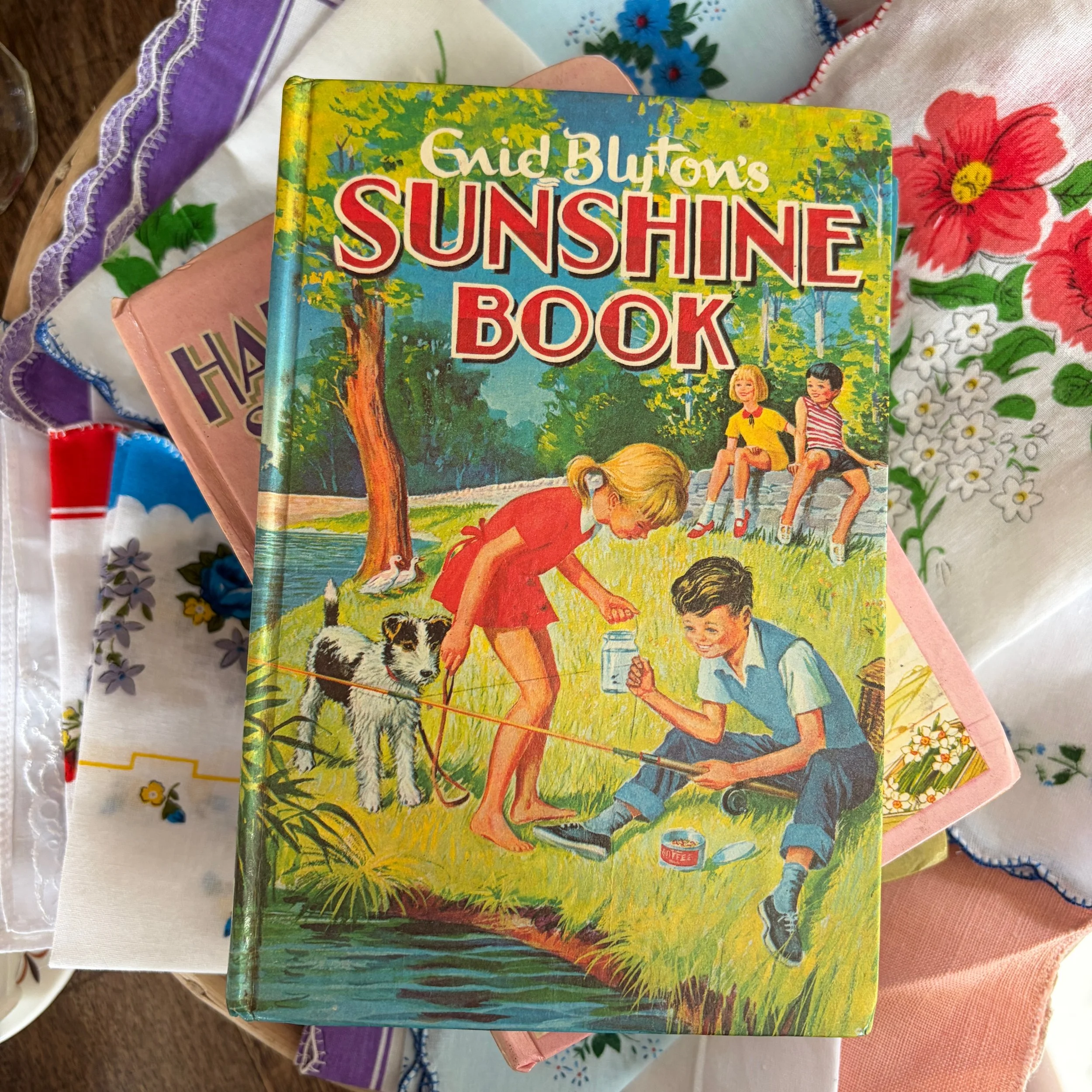 Sunshine Book Enid Blyton Book
