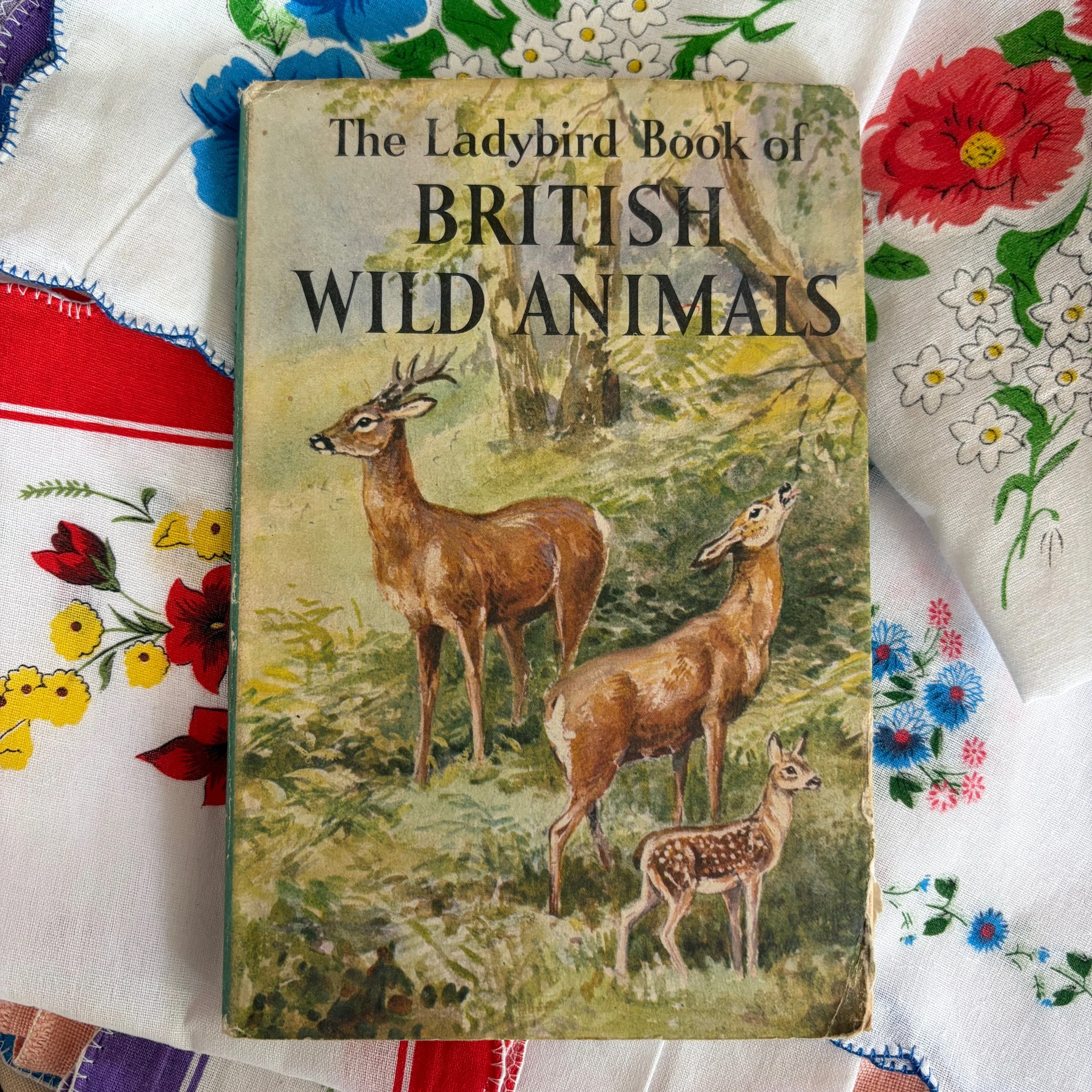 British Wild Animals Ladybird Book