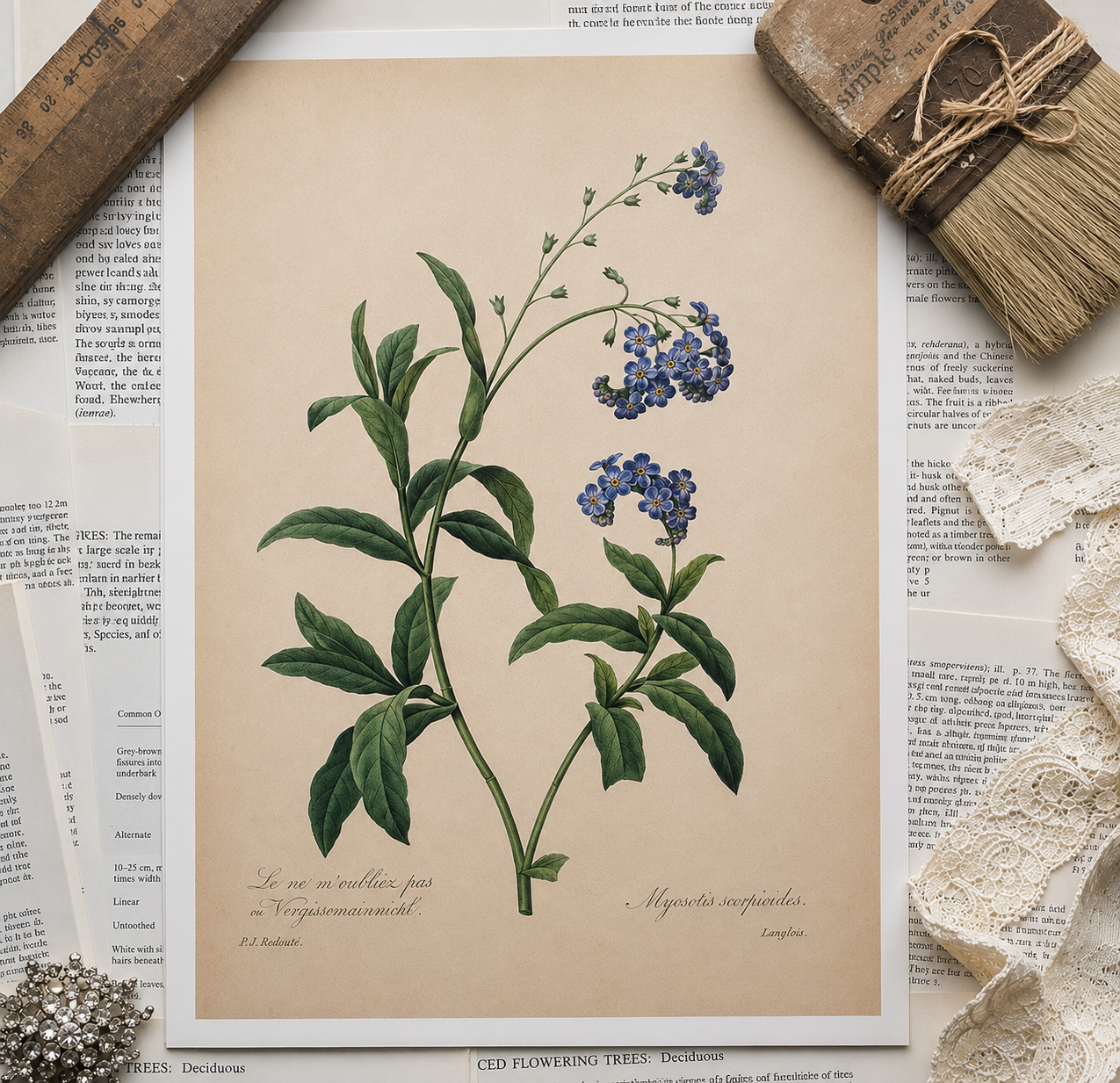 Vintage Botanical Book Page