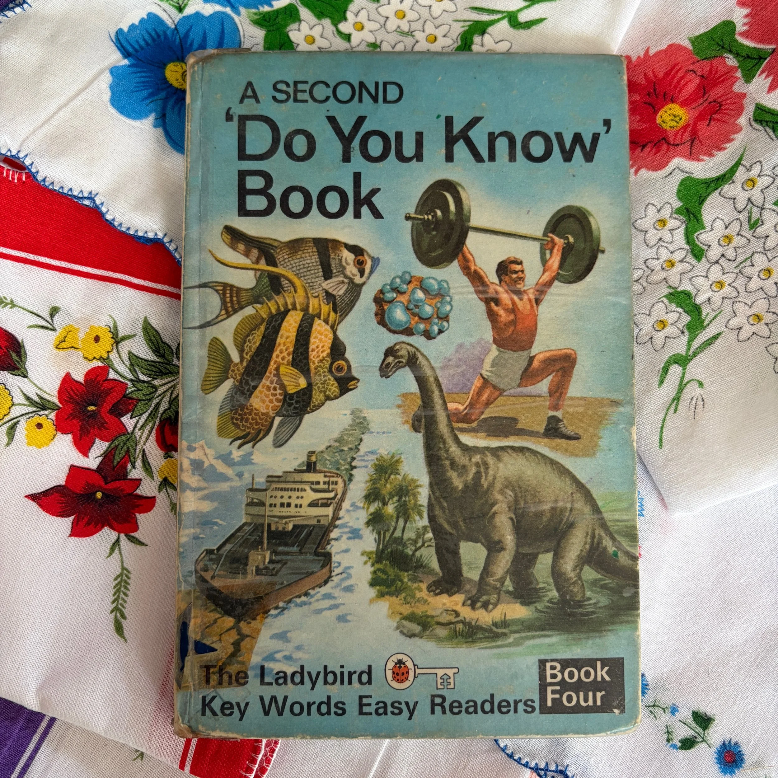 Do You Know Ladybird Book