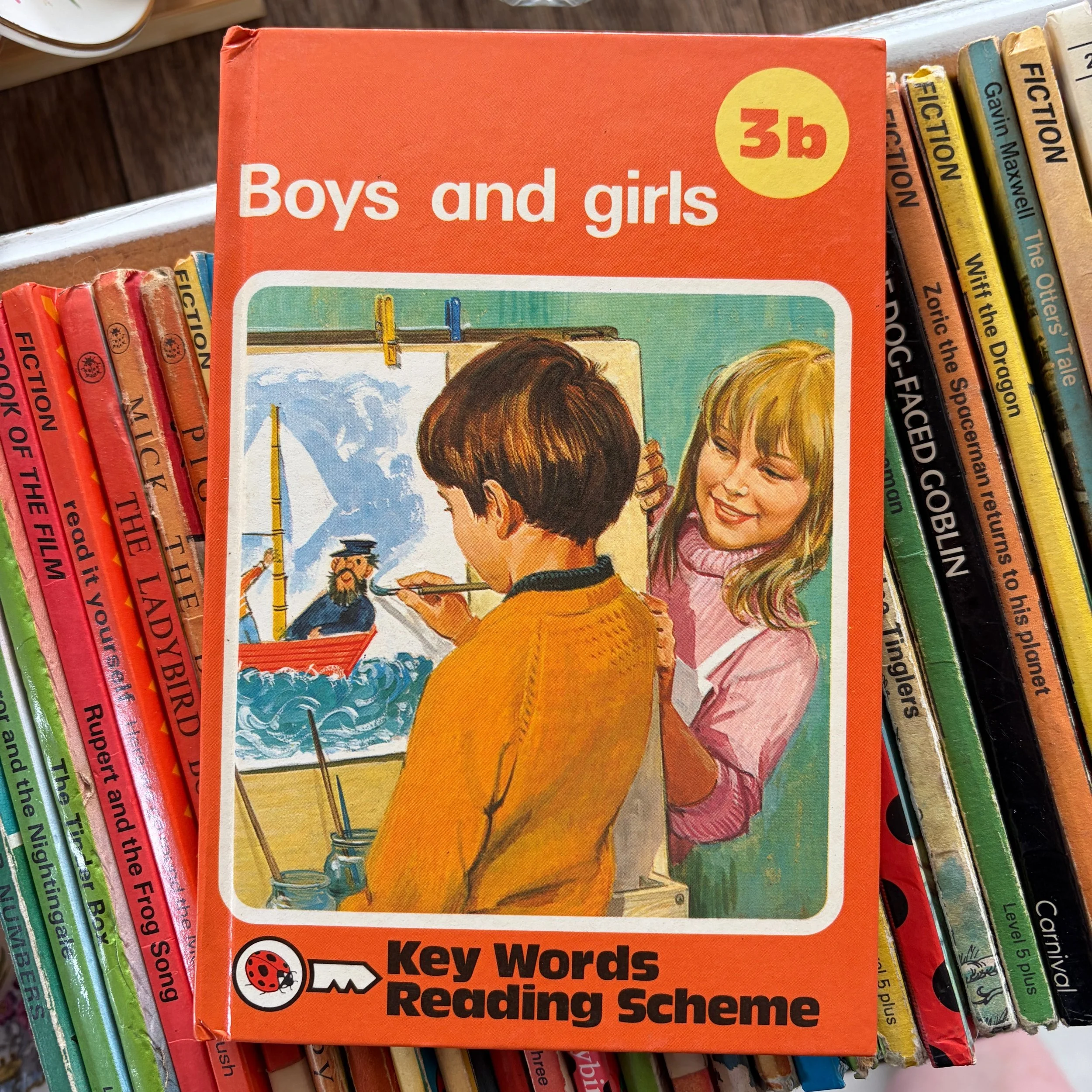 Boys And Girls Ladybird Book