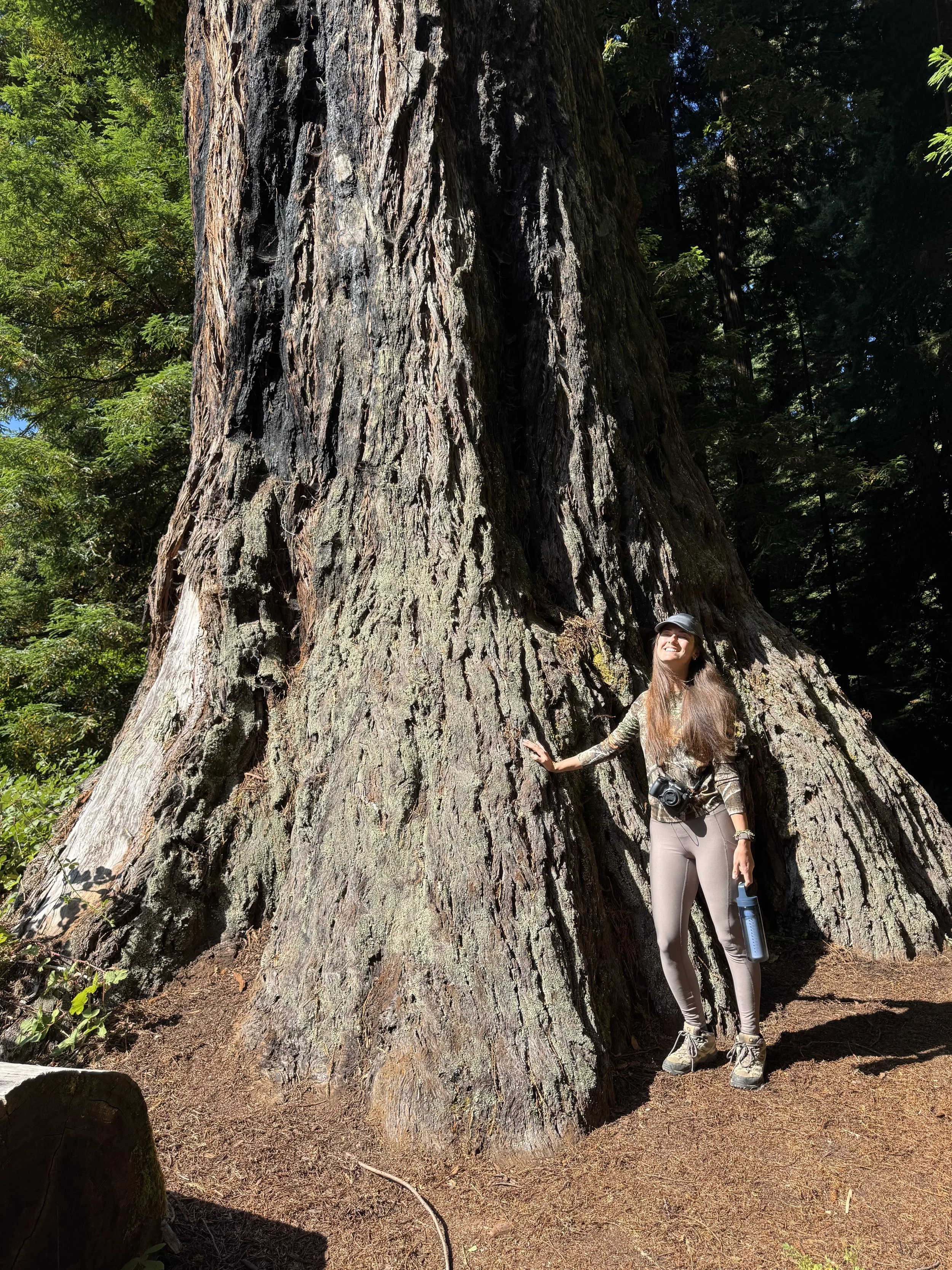 saw a lot of amazing trees