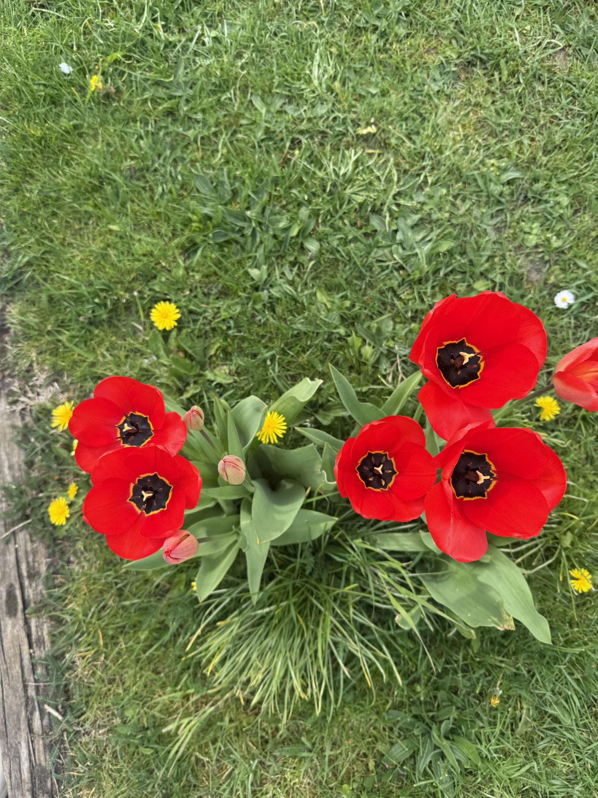 IMG_2301.jpeg