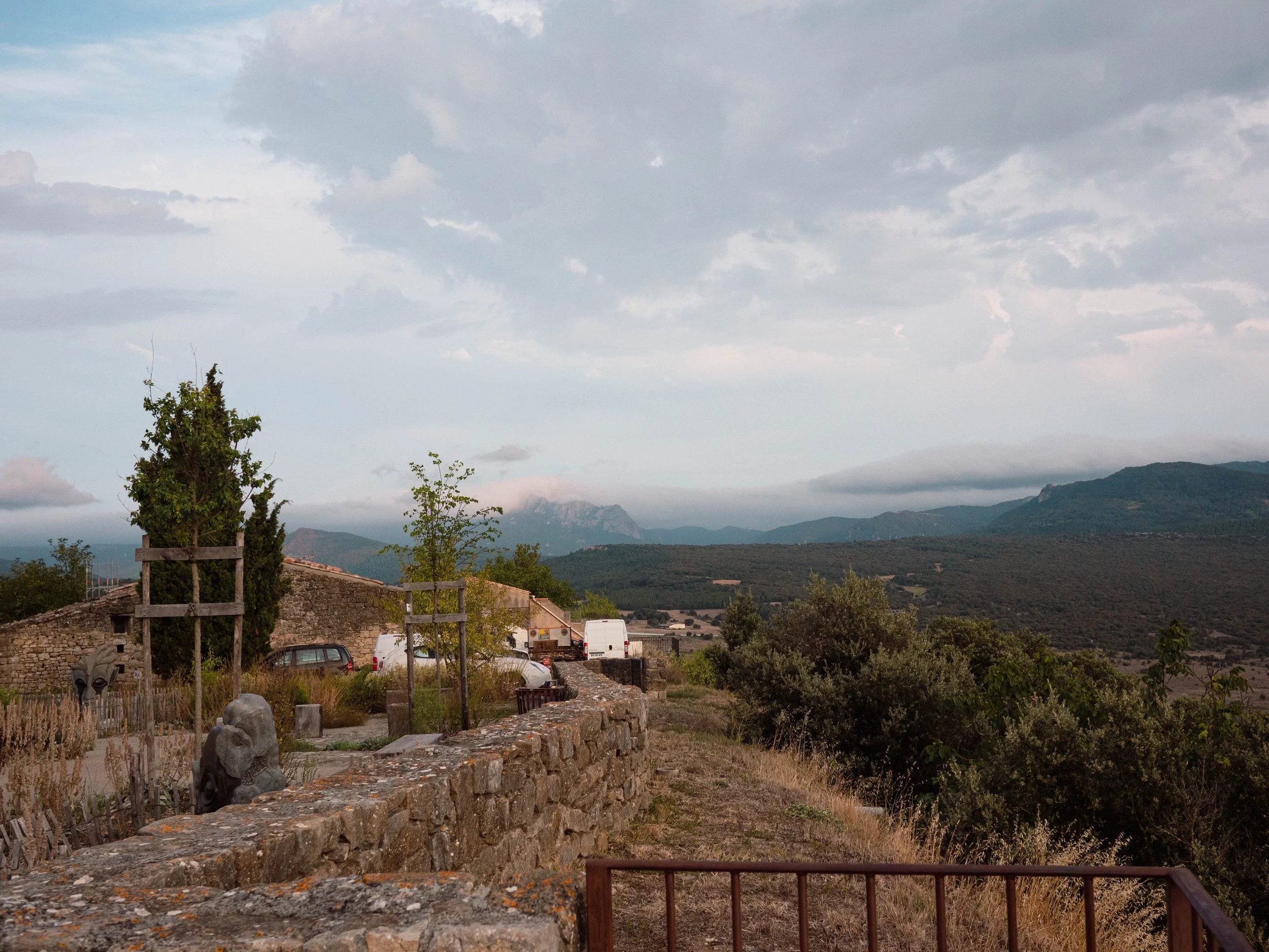 P1155664.jpg