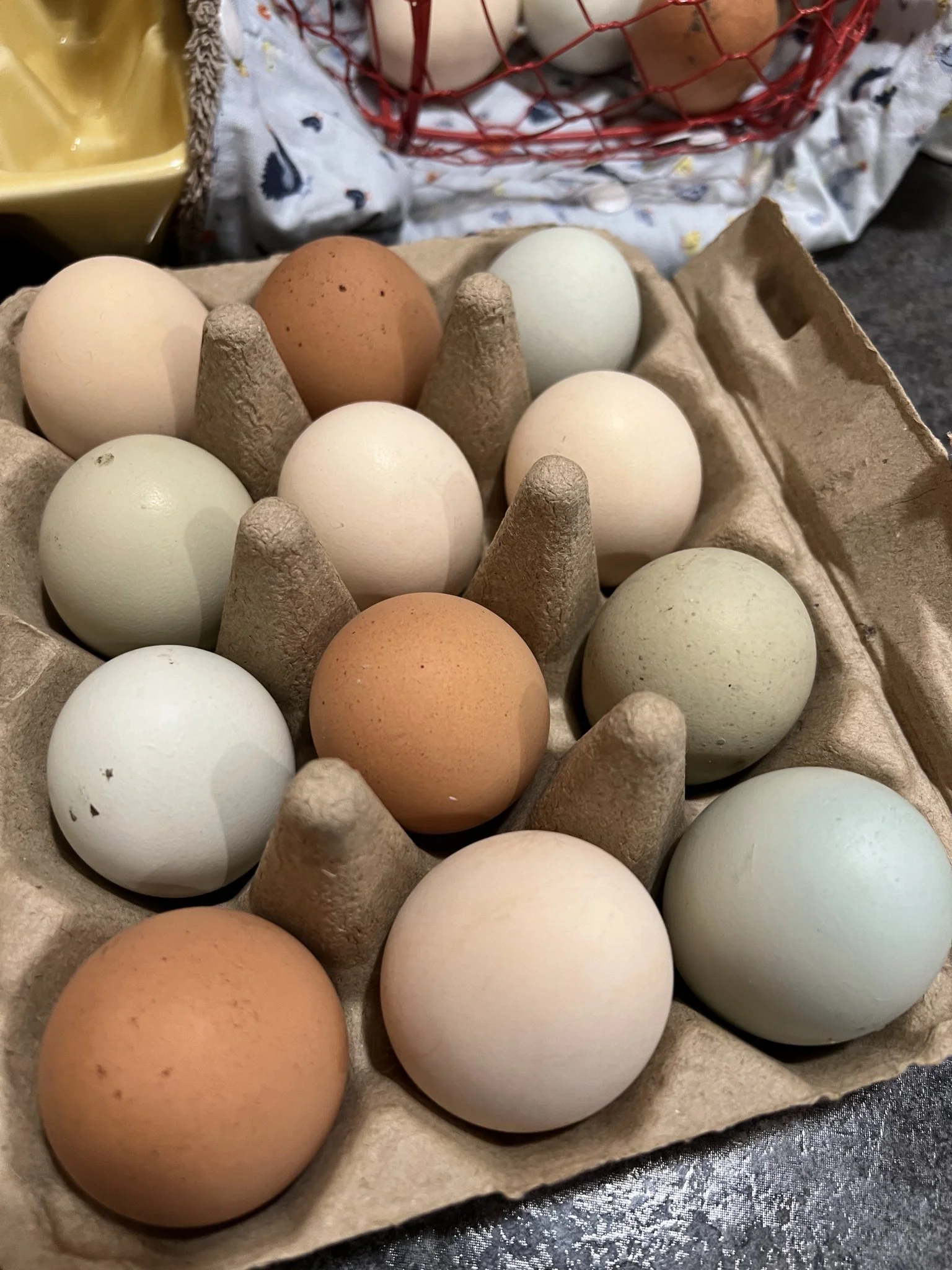 Rainbow Eggs by the dozen