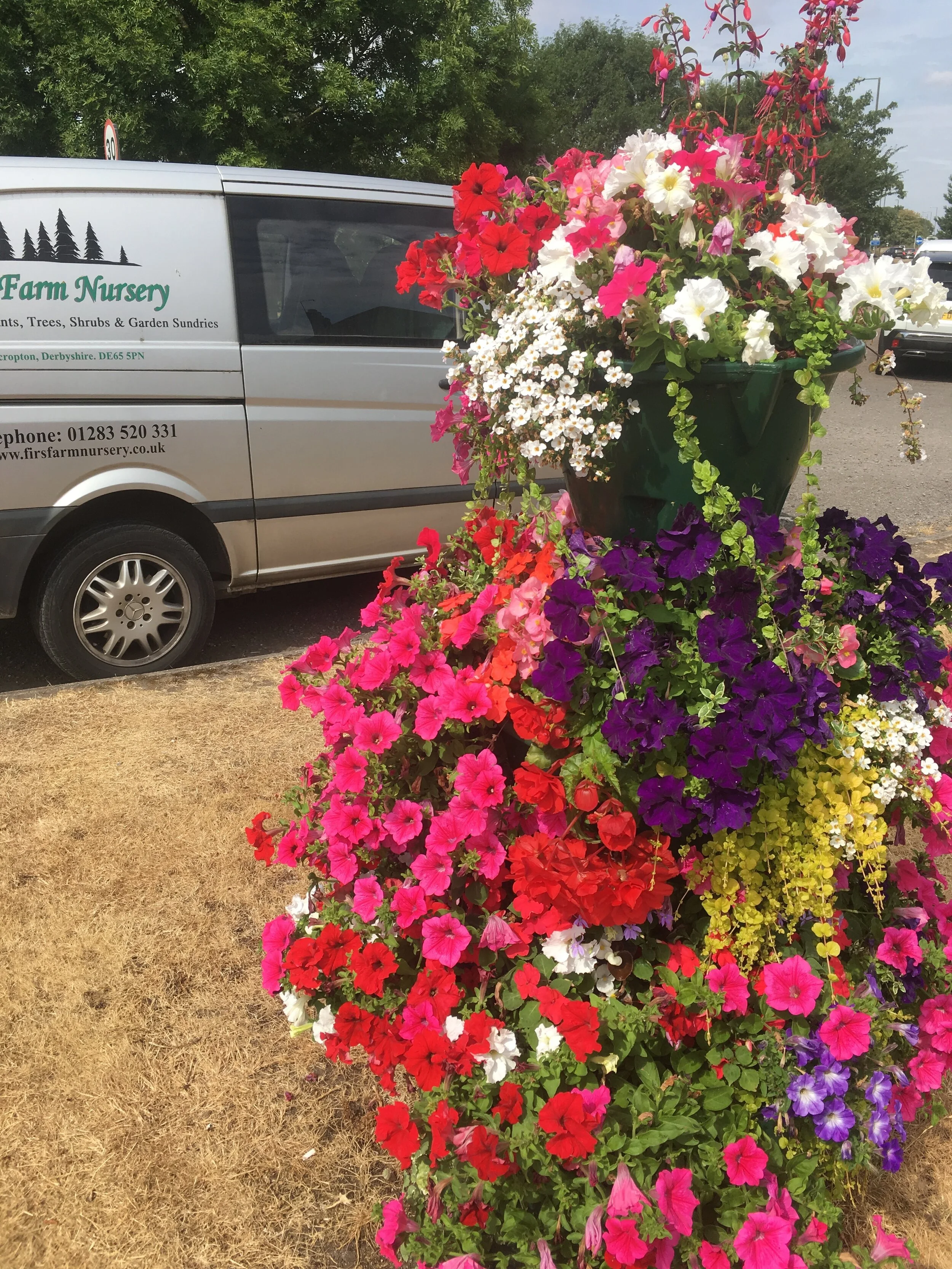 04565AC0-81A7-431D-88B0-DAC279EA534C