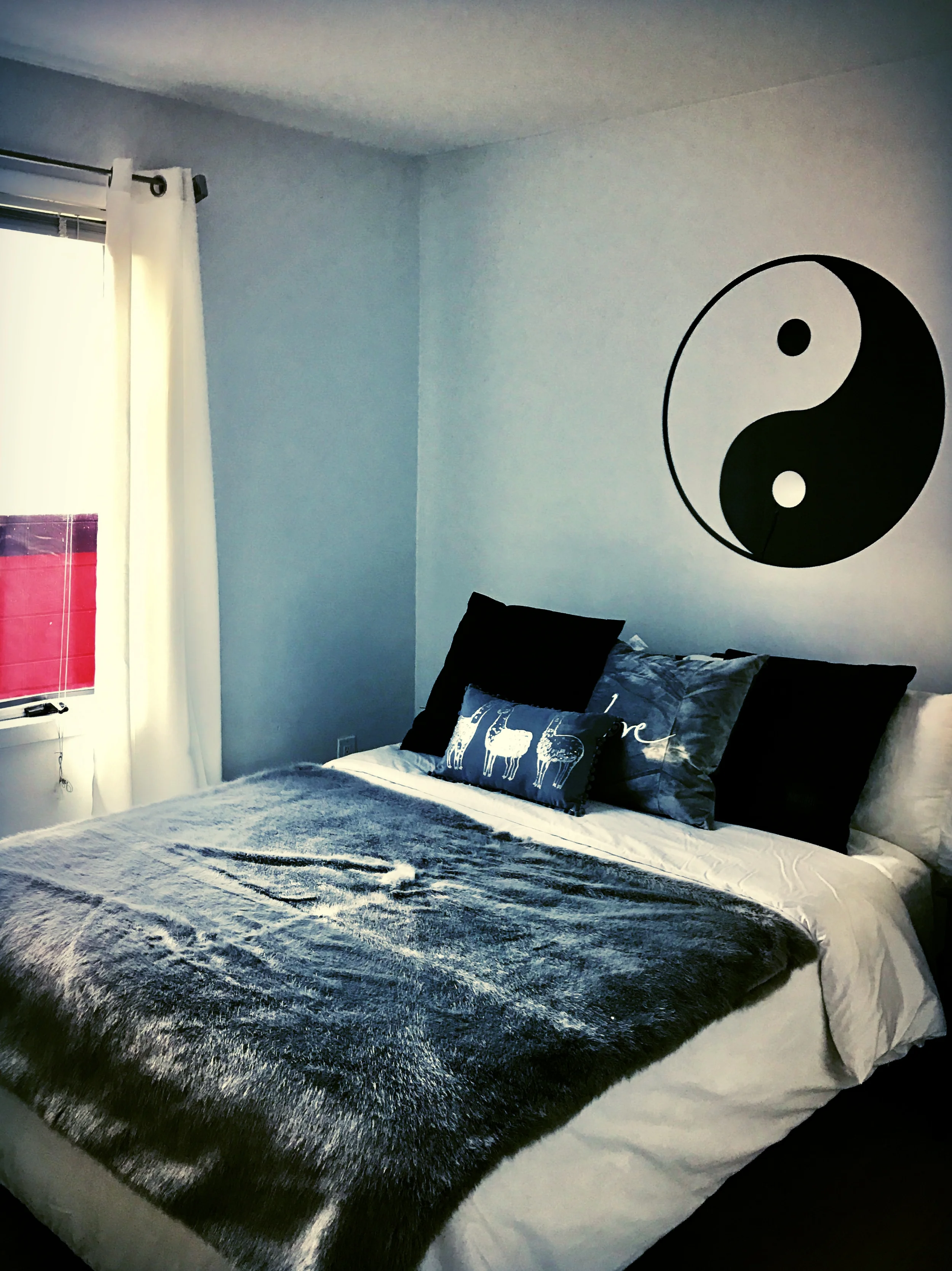 photo mar 06, 4 16 38 pm.jpg