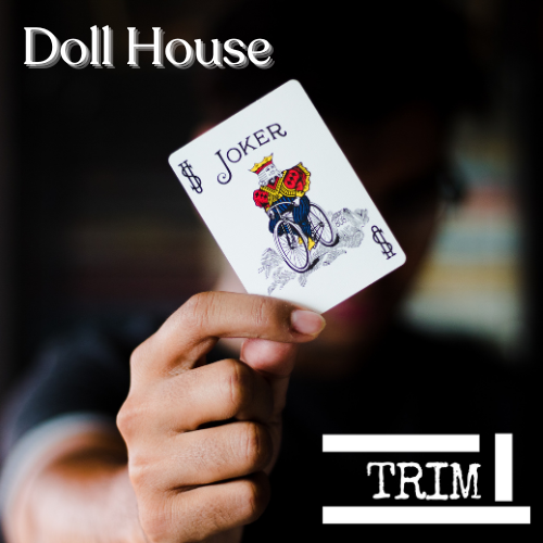 Doll House artwork v6 (500 × 500px).png