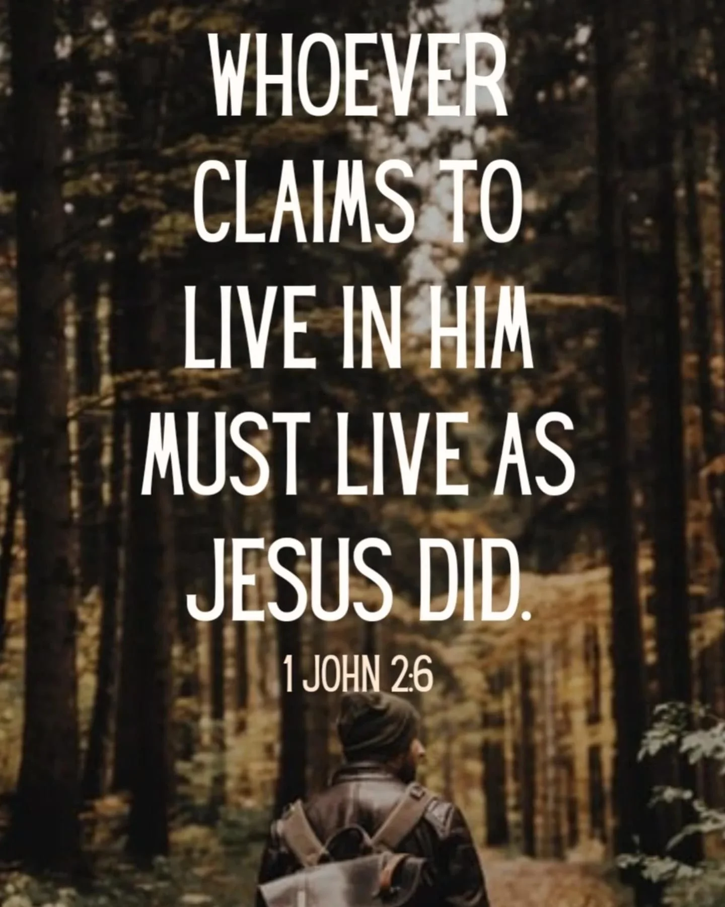 Sunday, November 10th