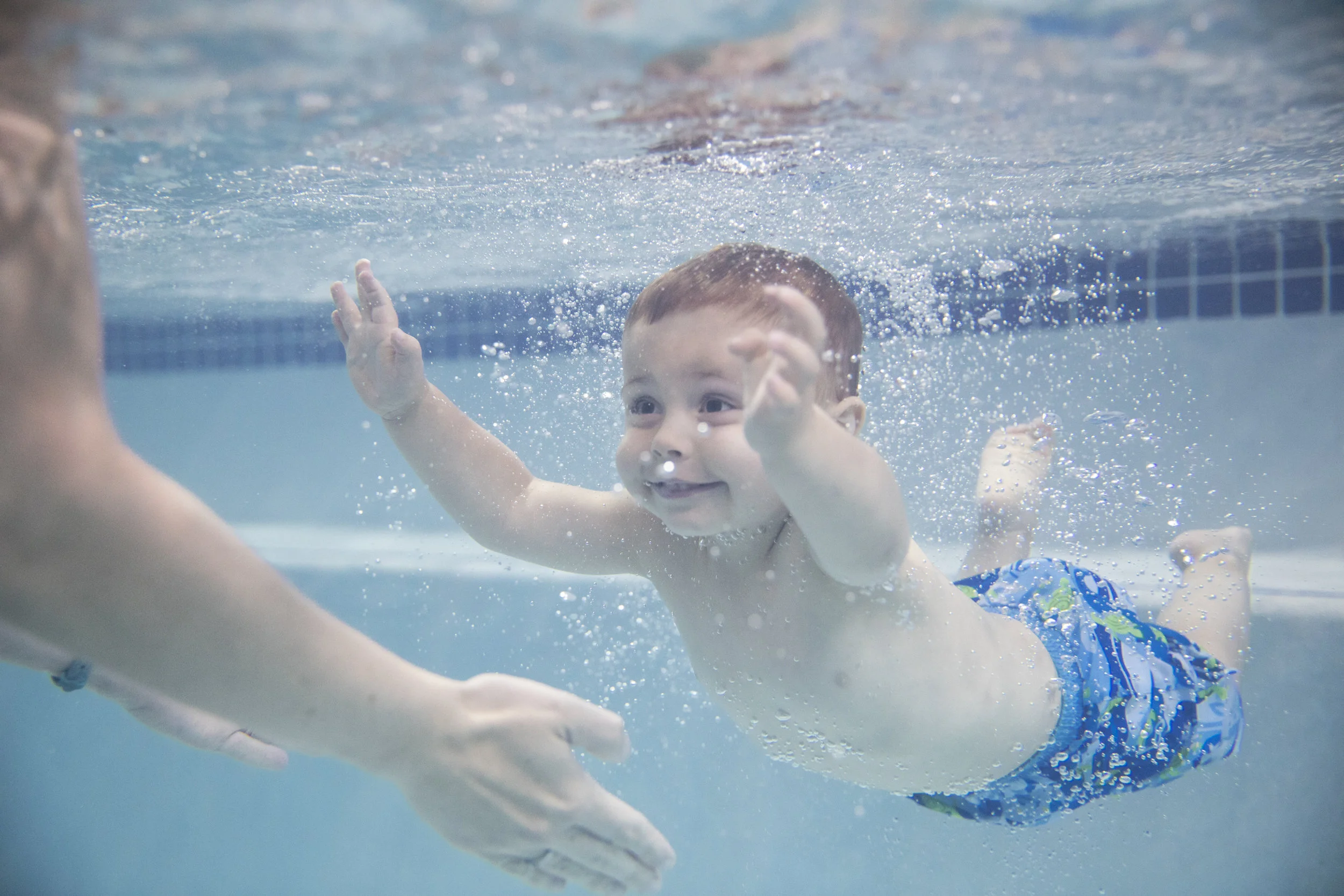 6045_170822_Goldfish_SwimSchool.jpg