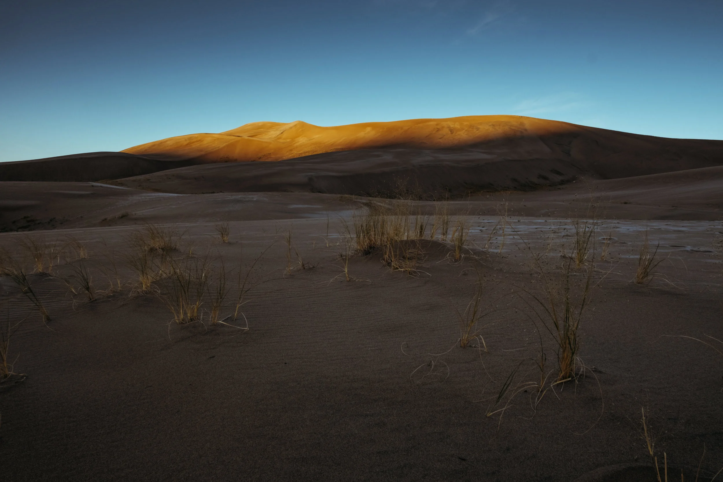 Dune Grass_rise-0516.jpg