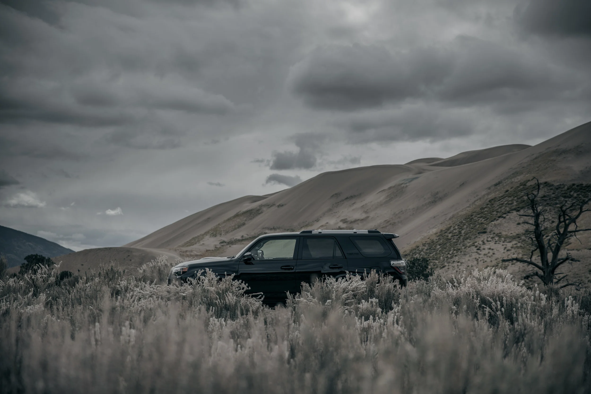 Medano Pass 4R TRD PRO--3.jpg