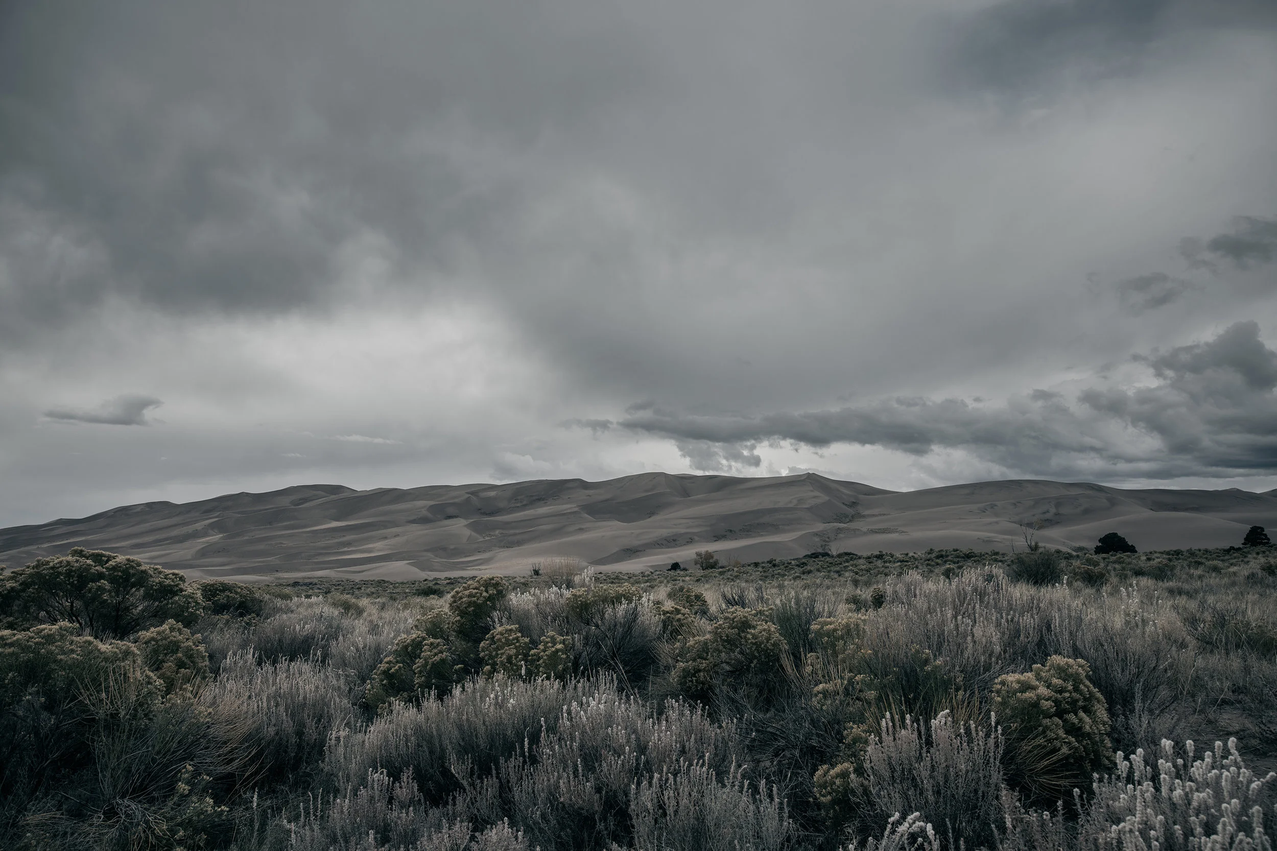 Medano Pass 4R TRD PRO-7286.jpg