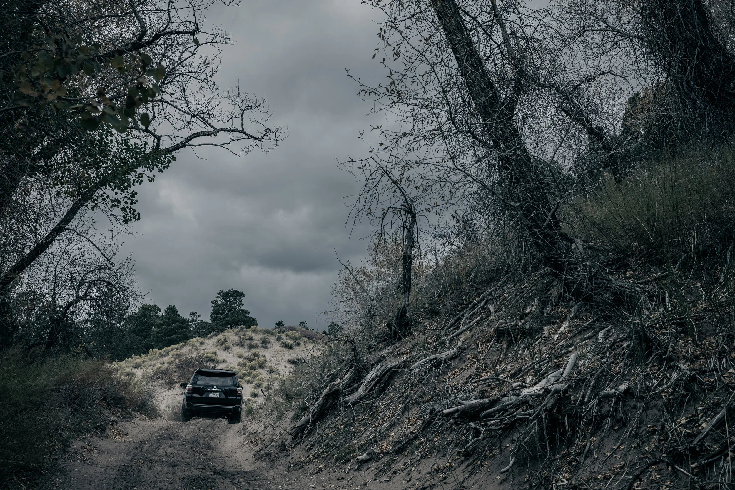 Medano Pass 4R TRD PRO--4.jpg