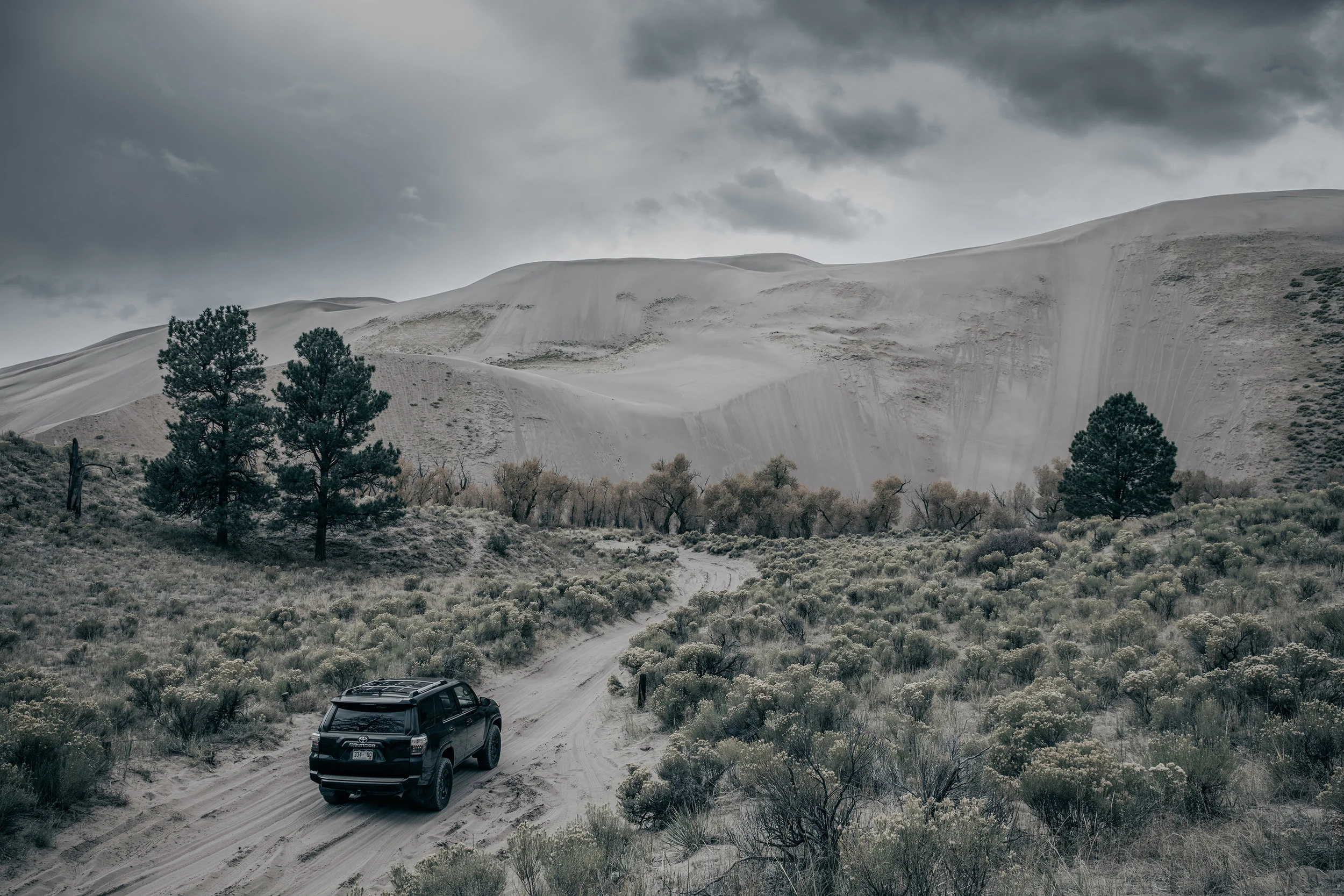 Medano Pass 4R TRD PRO--5.jpg