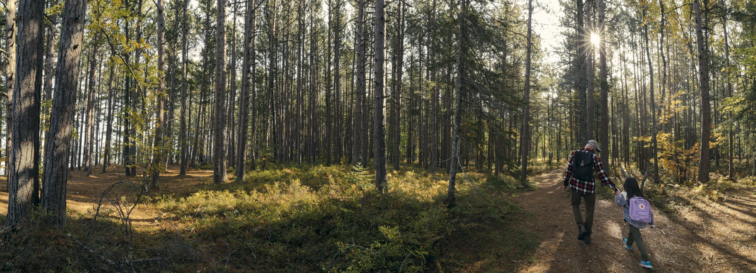 PURE MI FALL UP--2.JPG