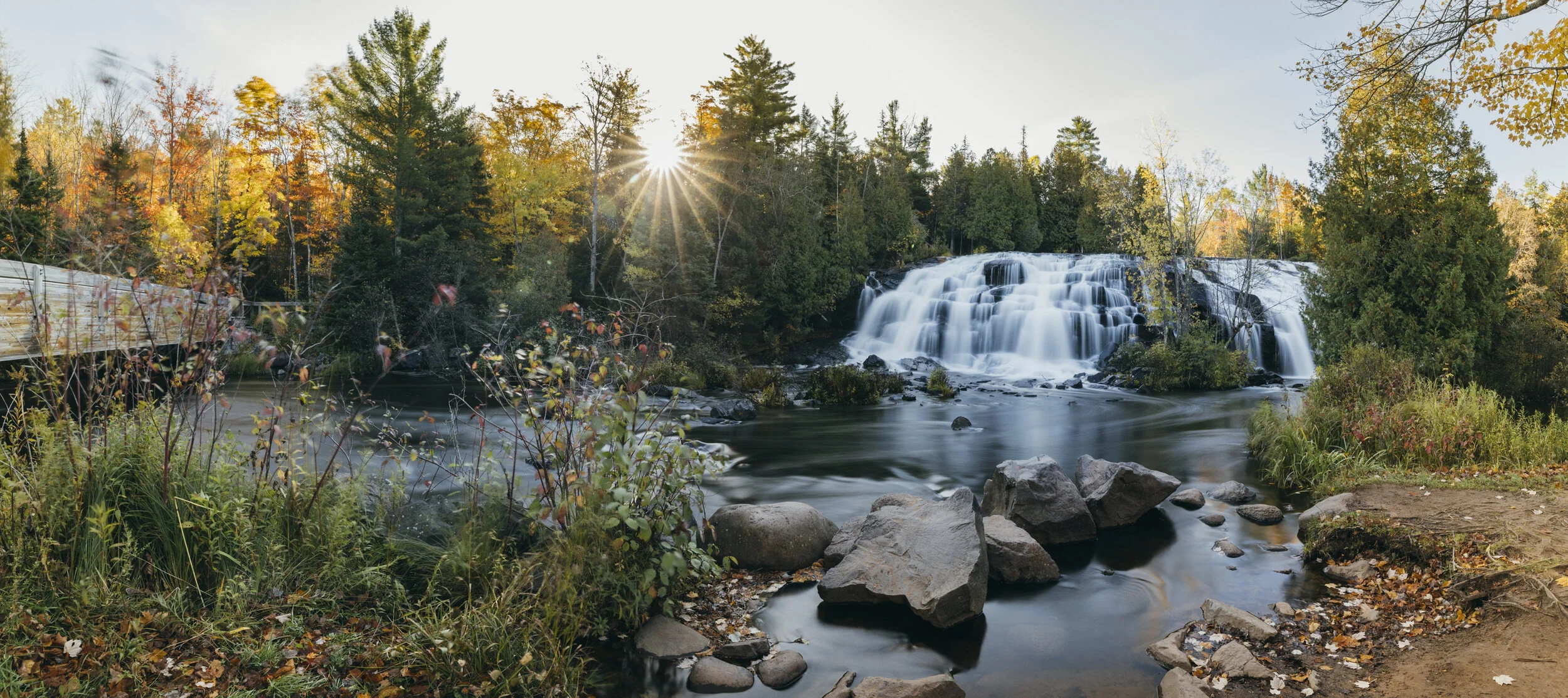 PURE MI FALL UP--5.JPG