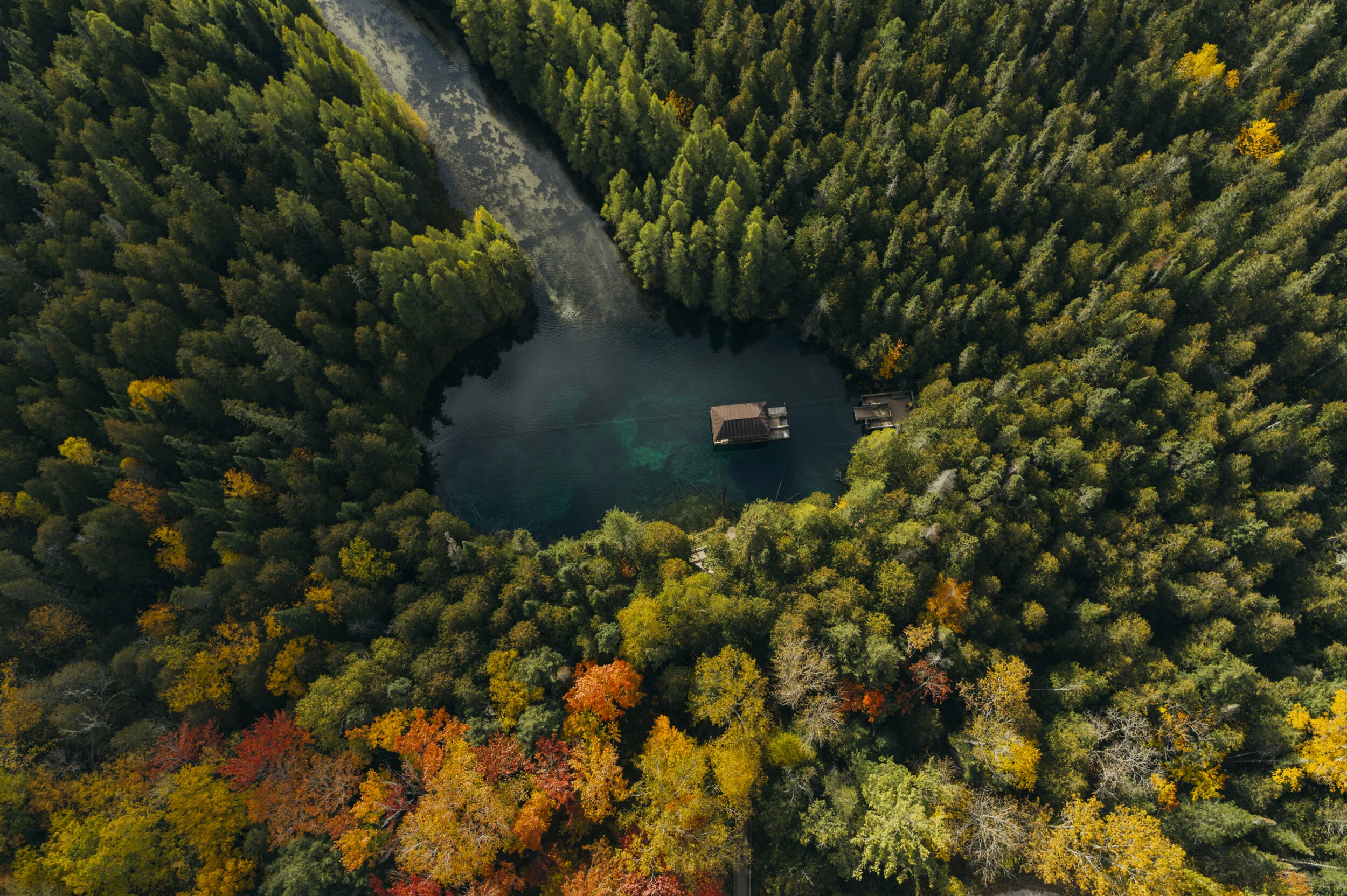 PURE MI FALL UP-0004.JPG