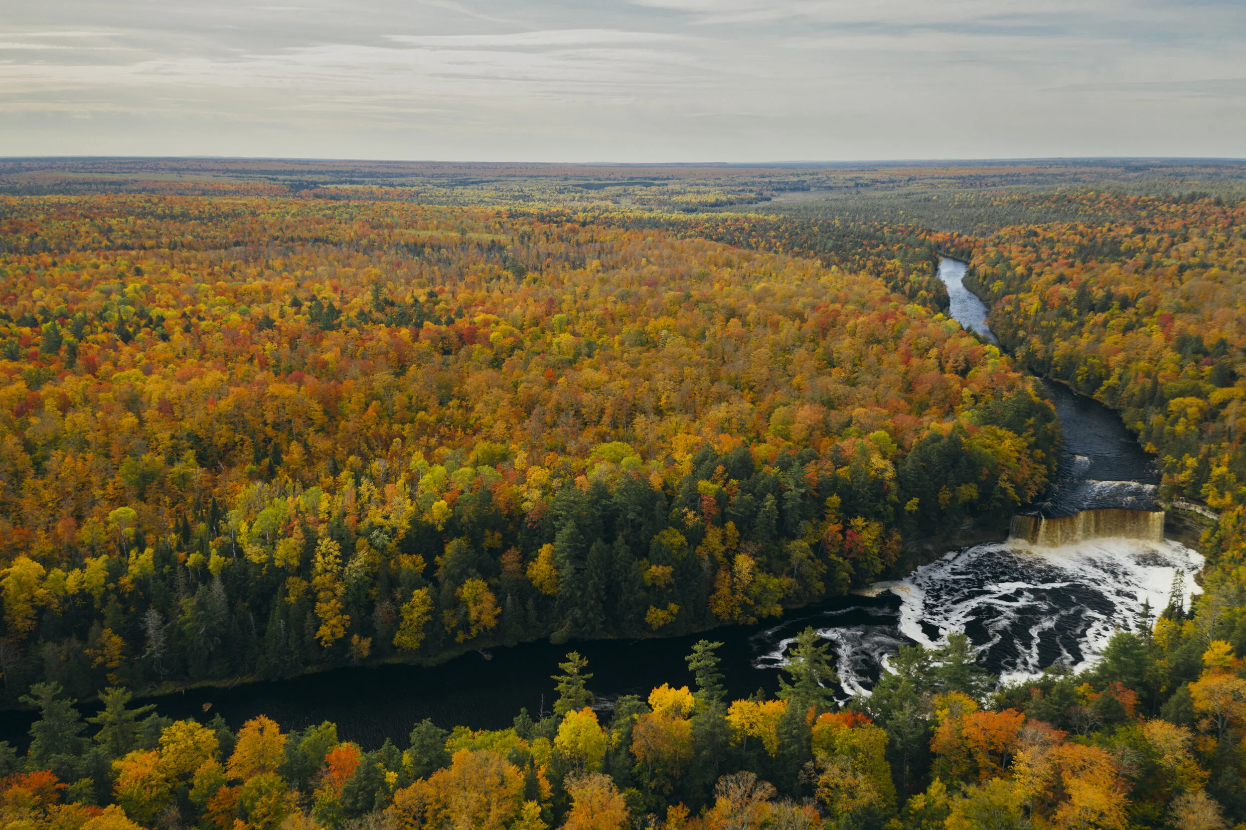 PURE MI FALL UP-0191.JPG