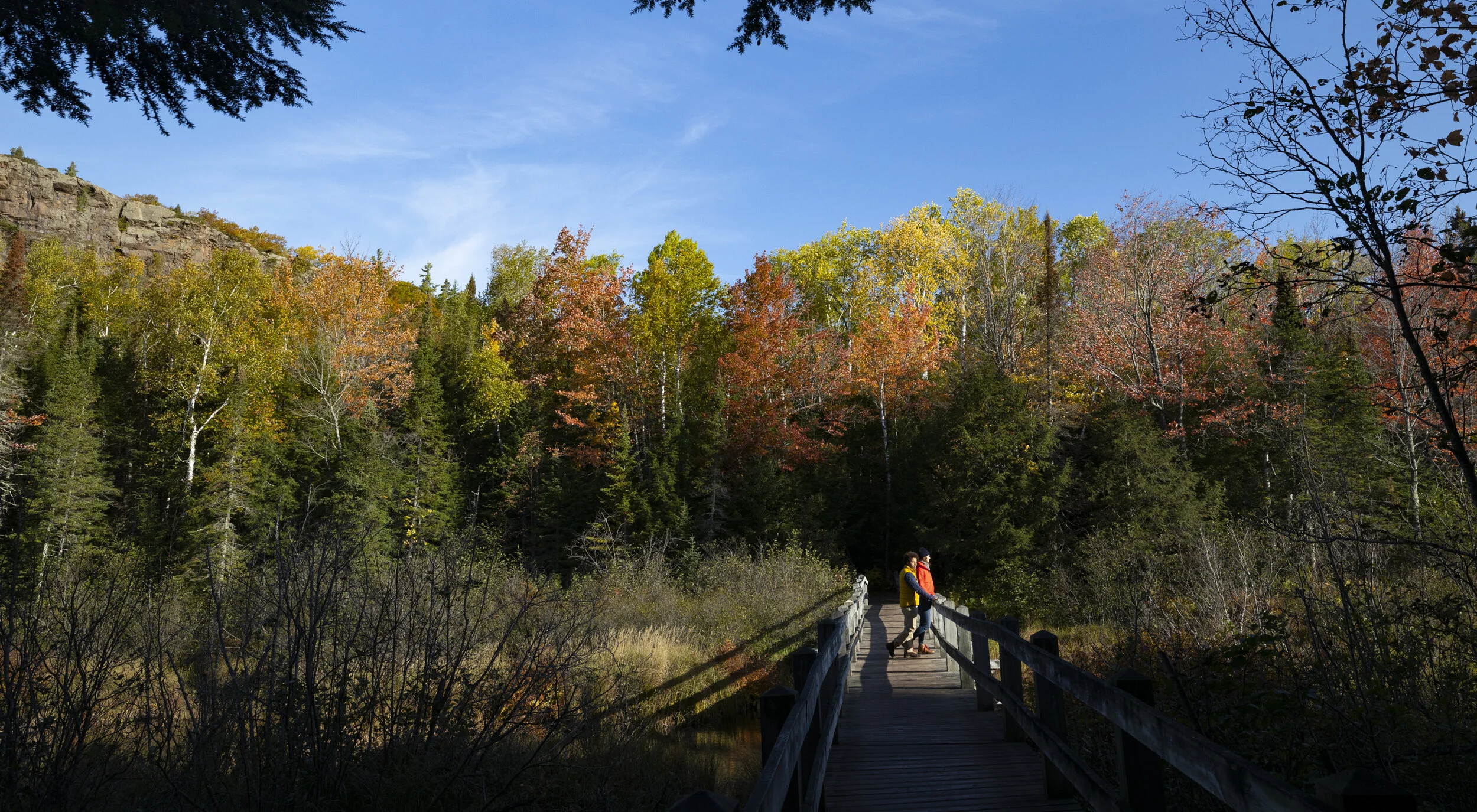 PURE MI FALL UP-0570.JPG