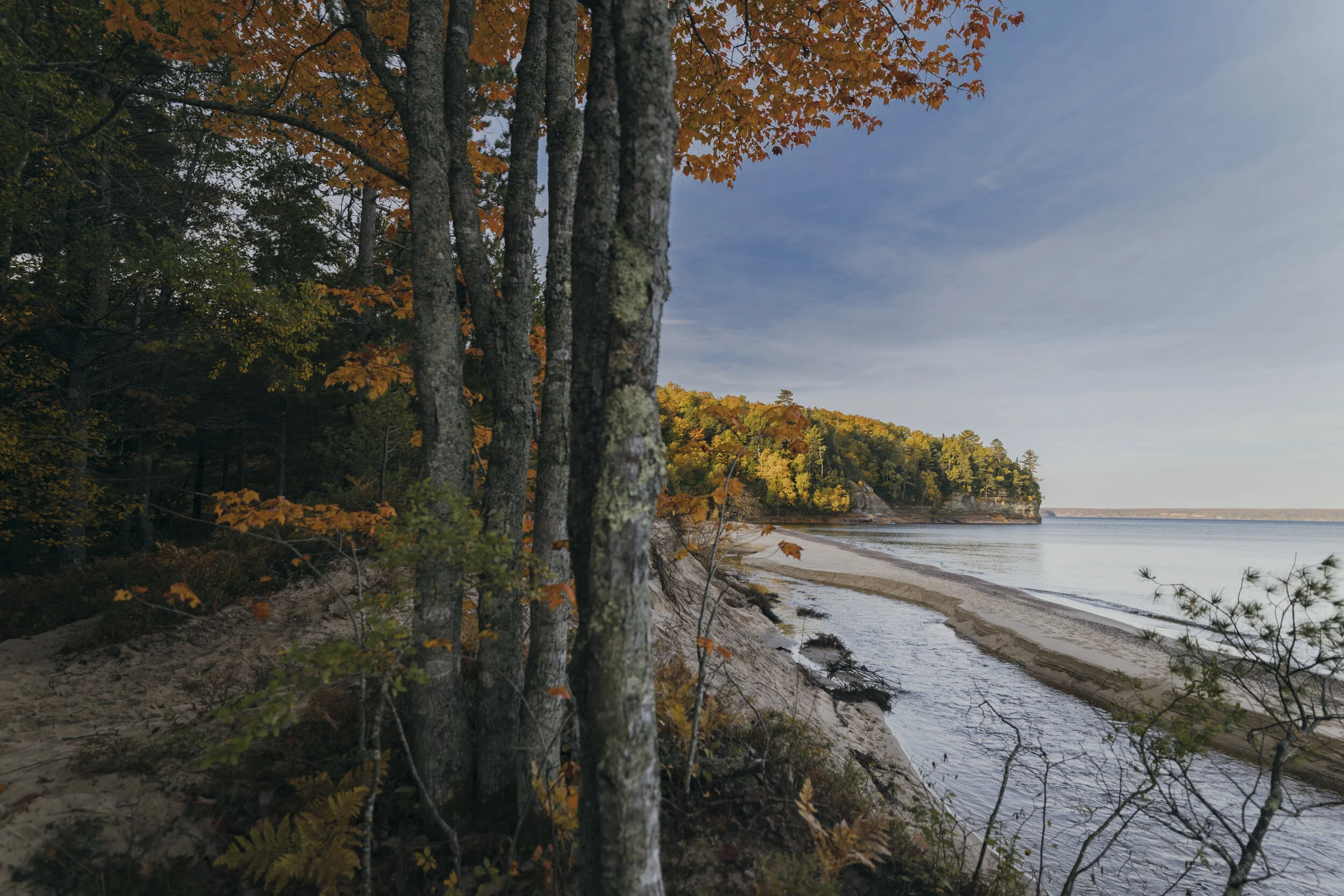PURE MI FALL UP-08209.JPG