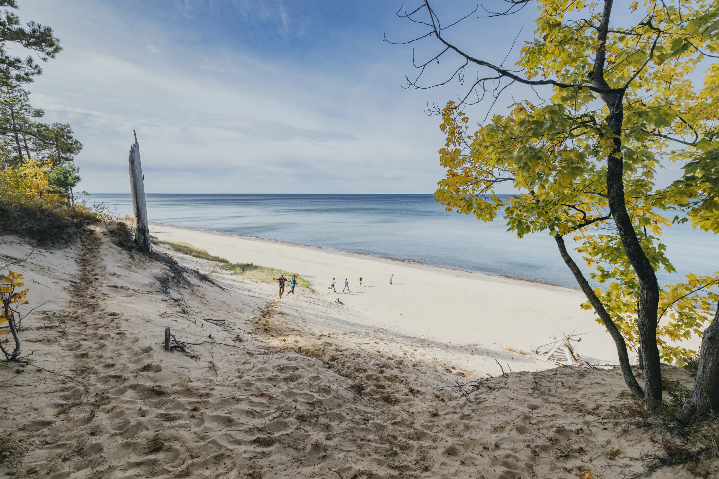 PURE MI FALL UP-10050.JPG