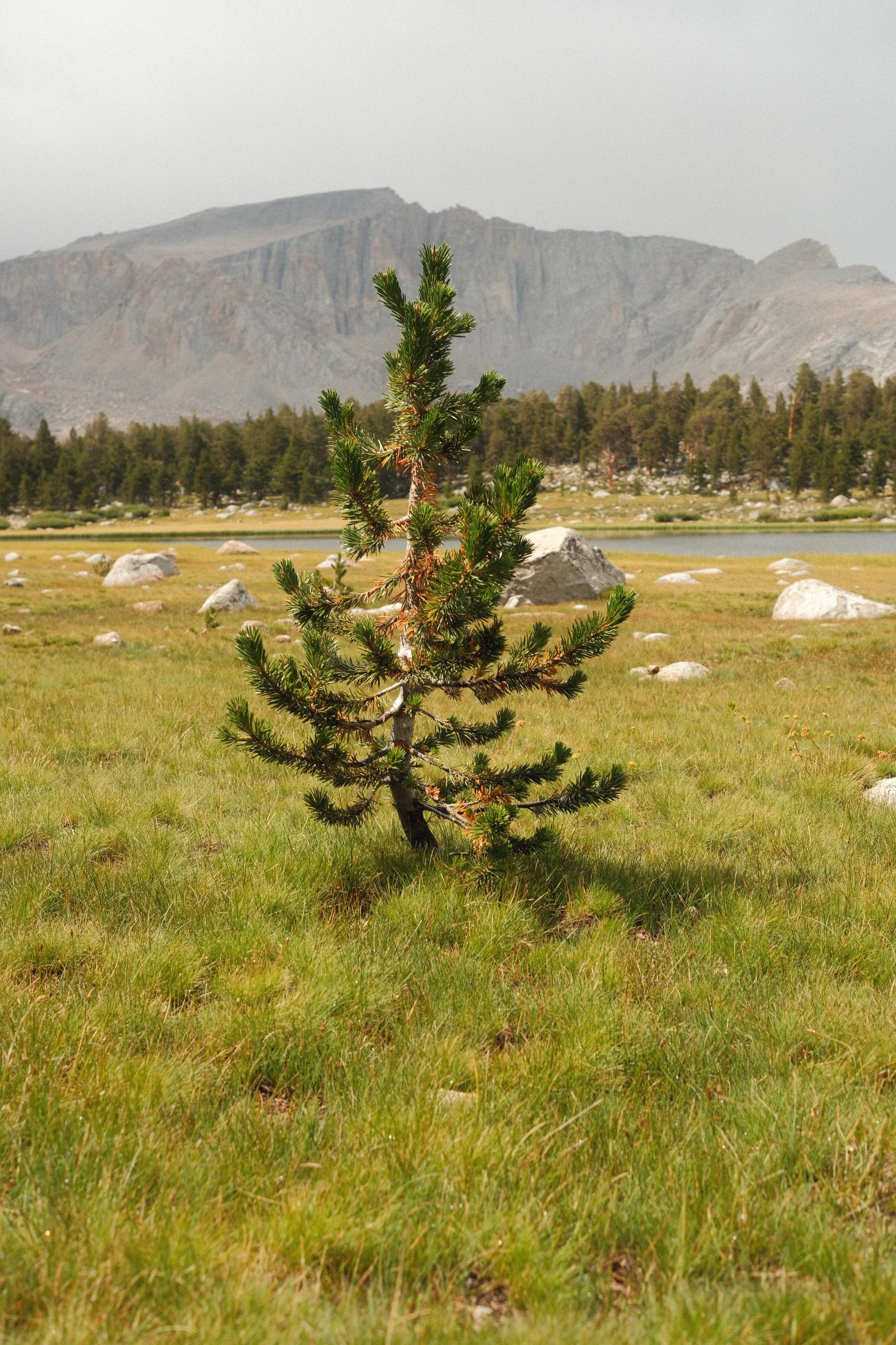 DSCF4649 2.JPG