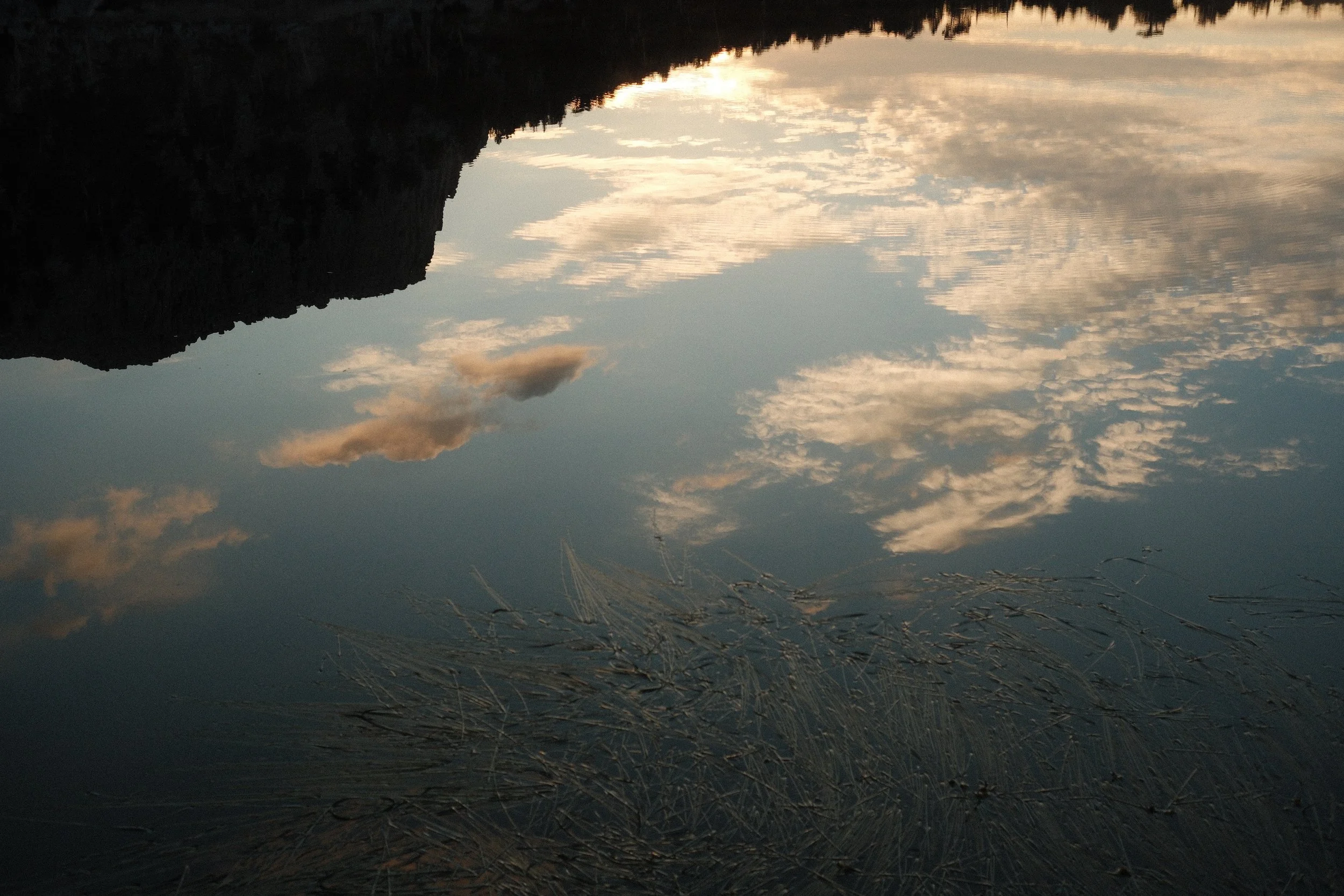 DSCF4682 2.JPG
