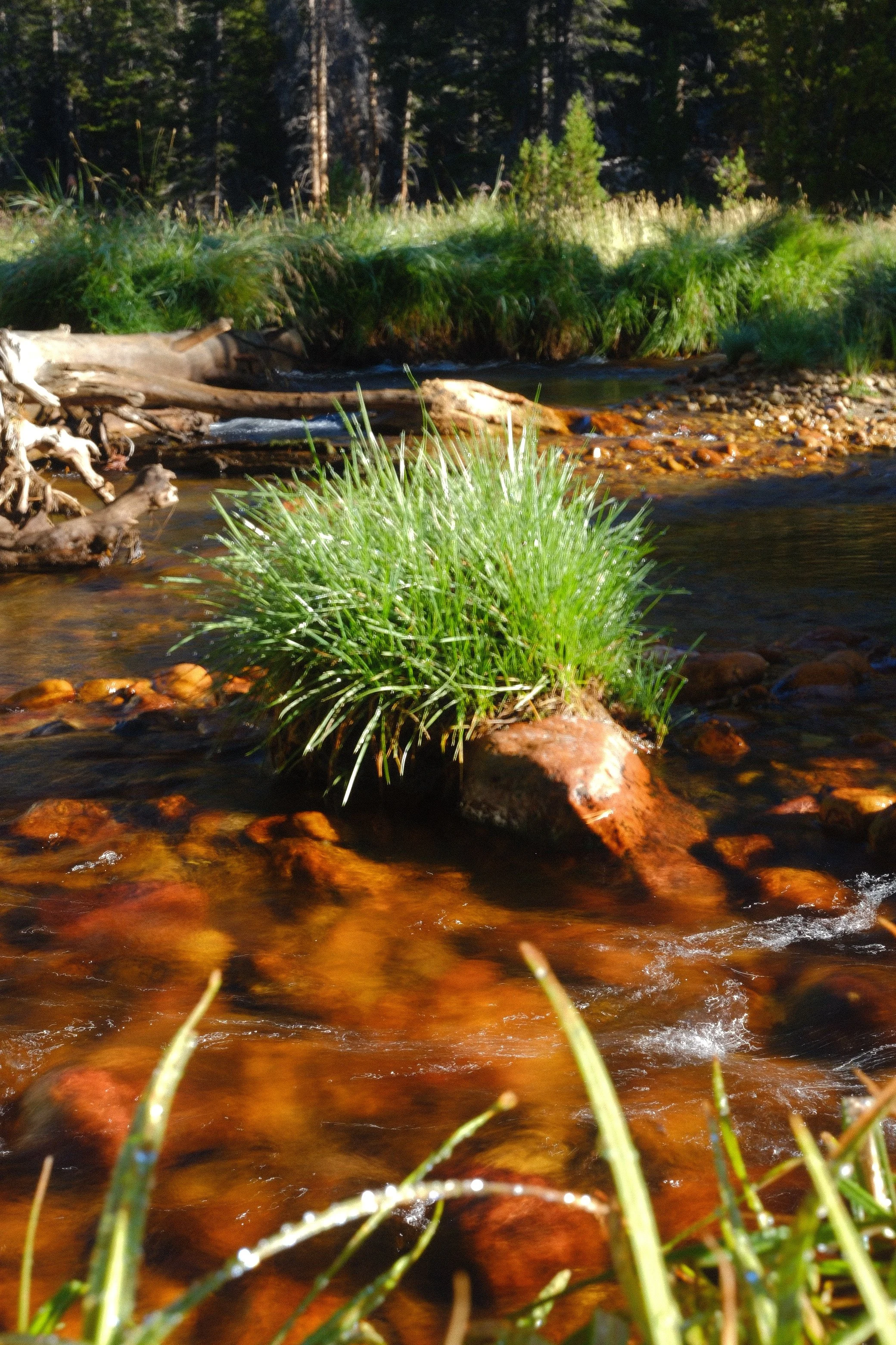 DSCF4738 2.JPG