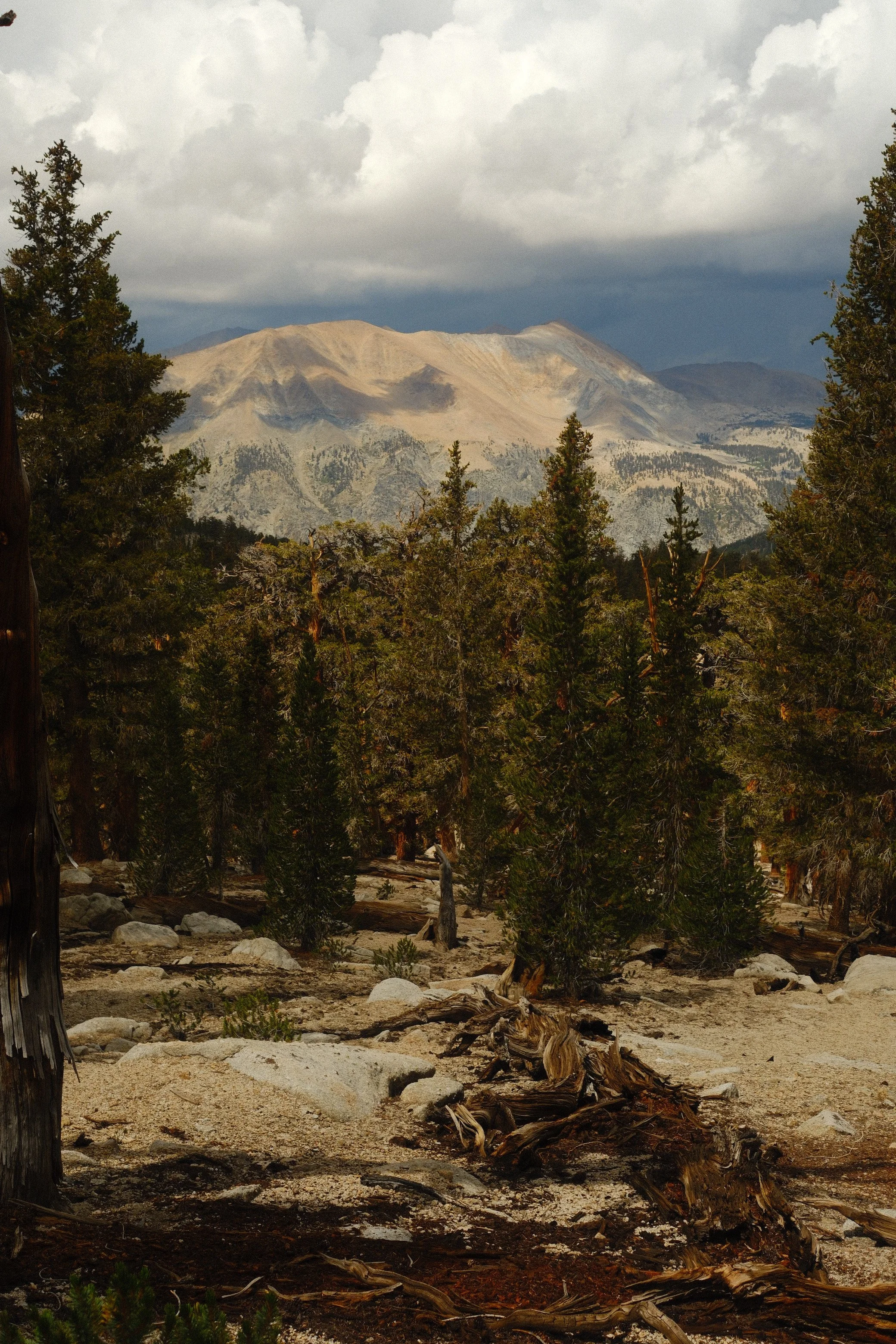 DSCF4749.JPG