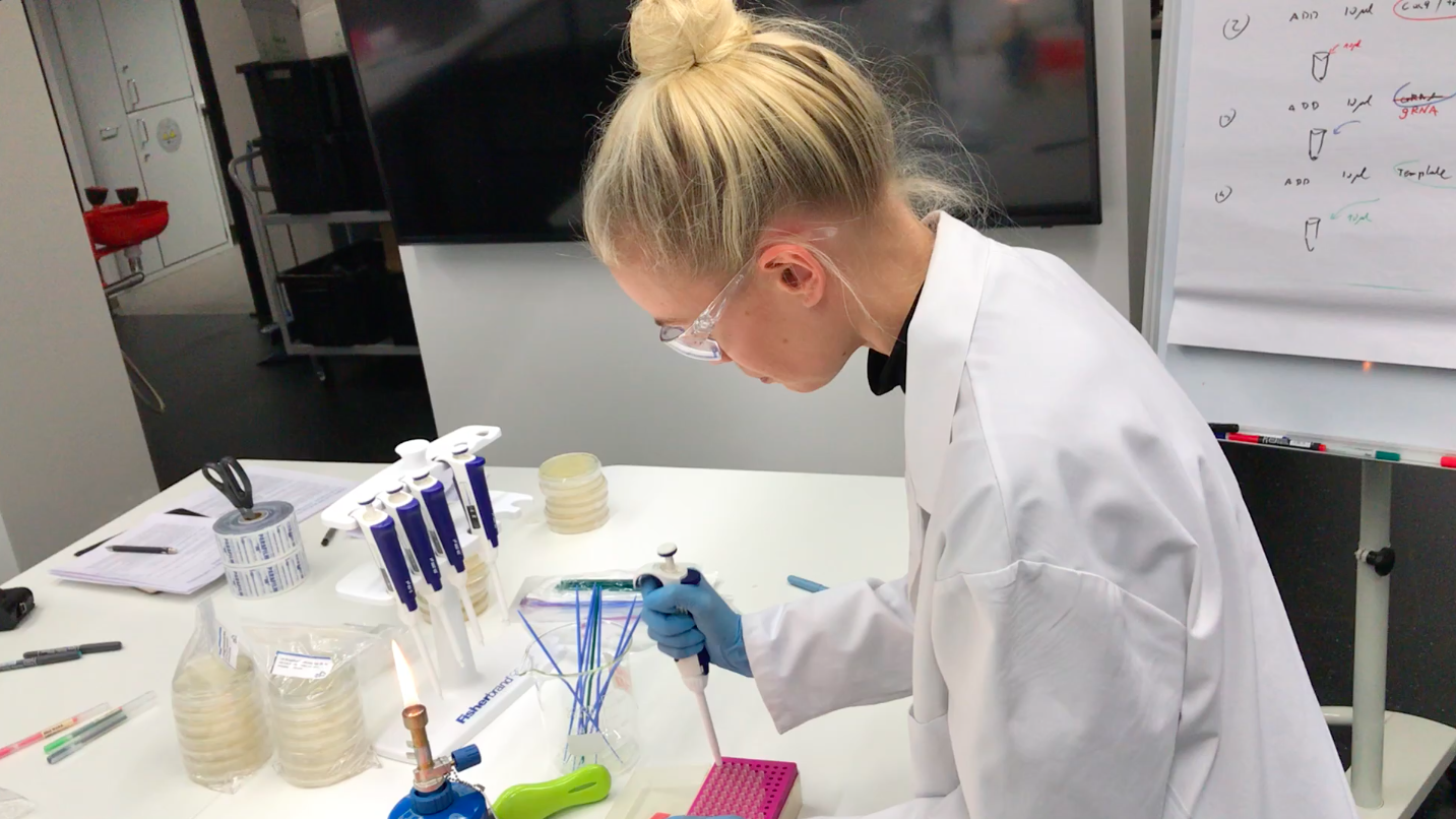 CRISPR-cas9 experiment using ODIN DIY kit at the Aalto University Biofilia laboratory.