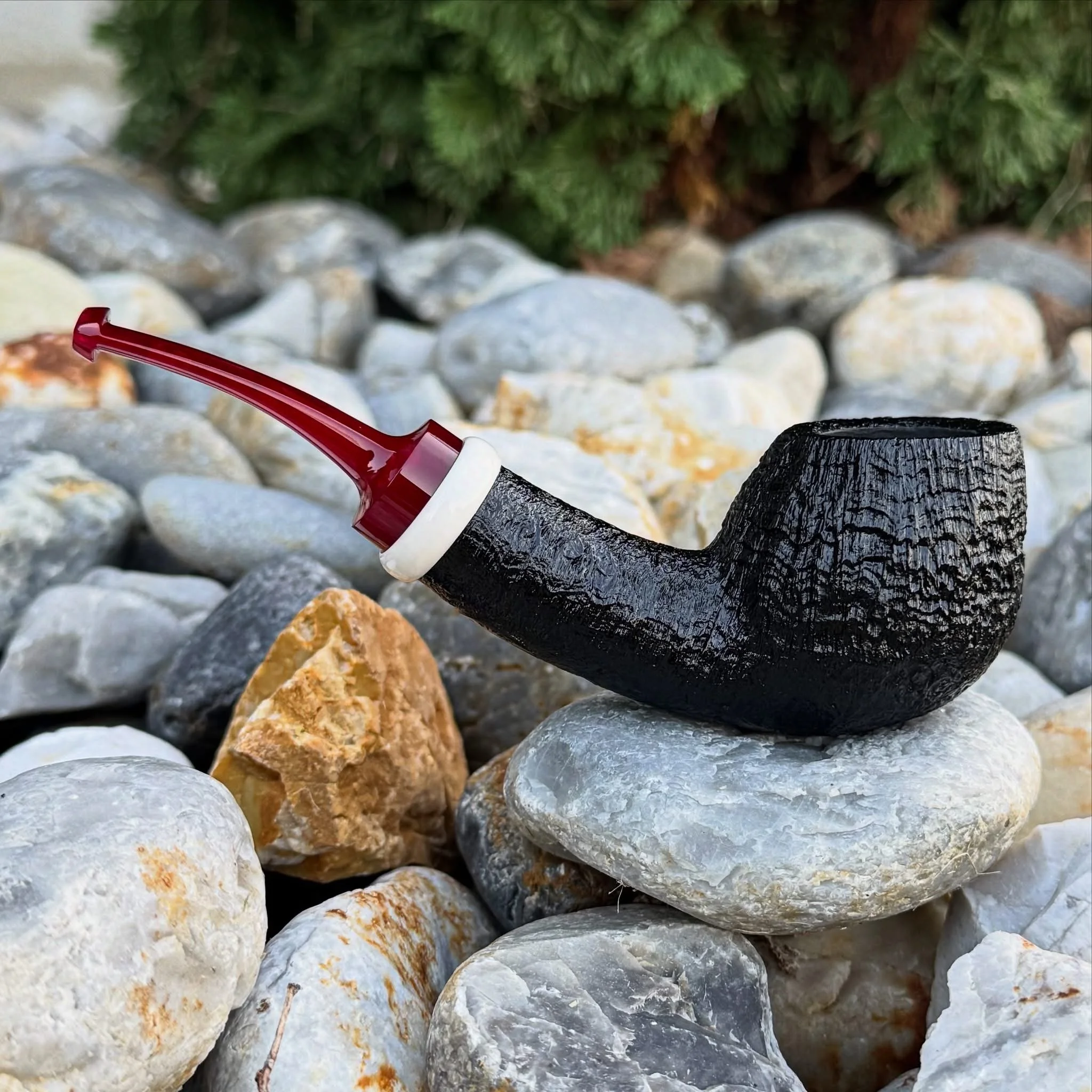 IMG_5089 (1).jpeg