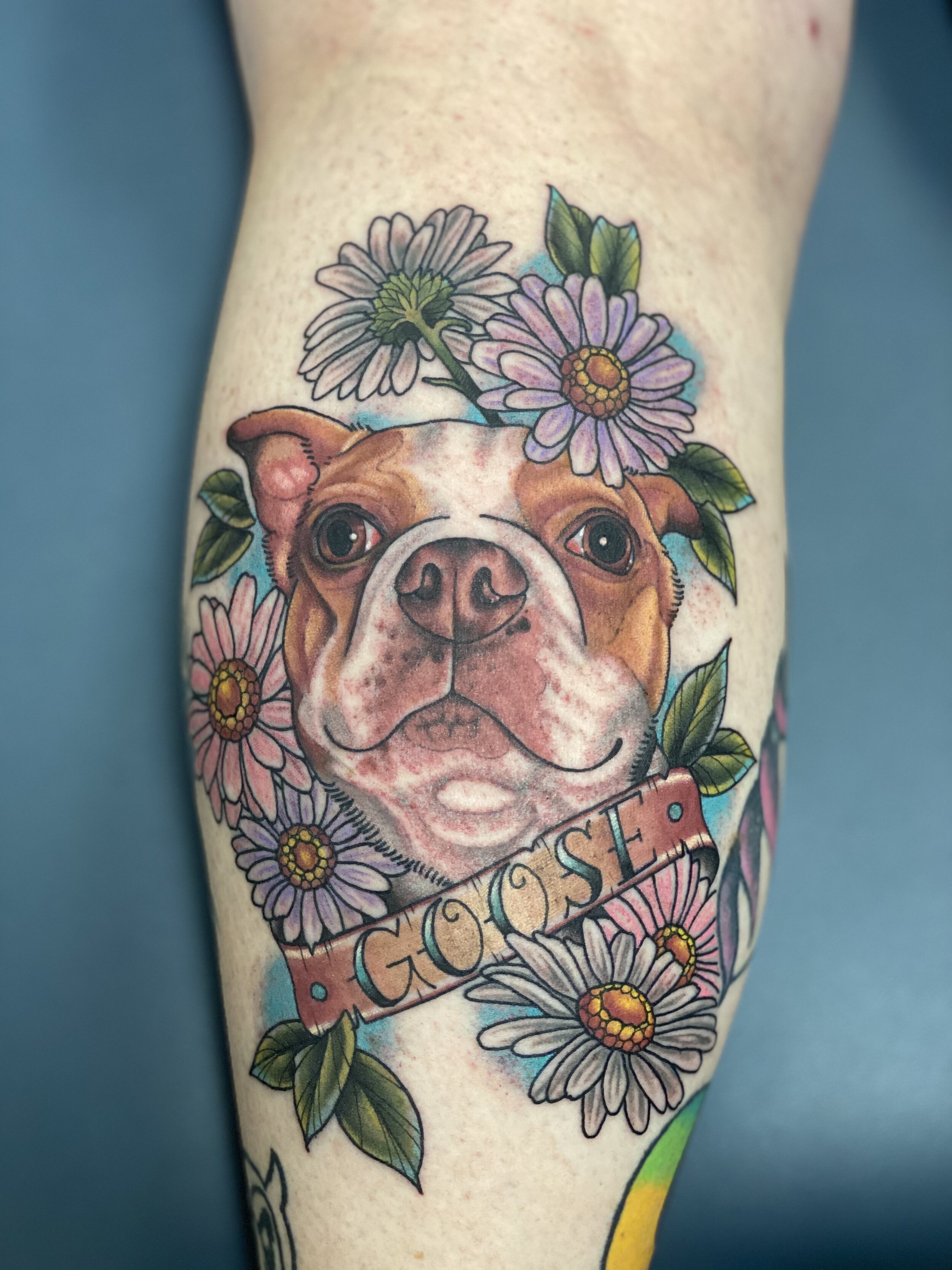 20 Best Pit Bull Tattoo Designs 