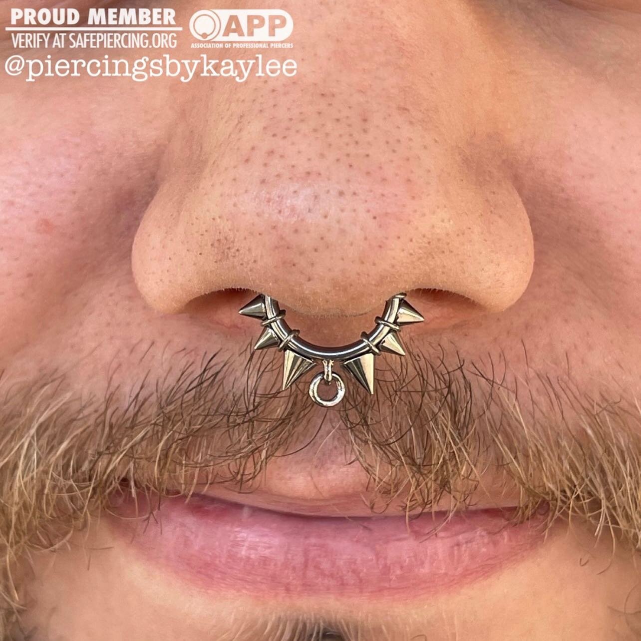 Healed septum that I pierced a while back that I just got to upgrade to this super rad O-ring collar spiked hinged ring from @zadamer_jewelry ✨ second picture, also features their bridge piercing that I had the pleasure of doing a while back it&rsquo