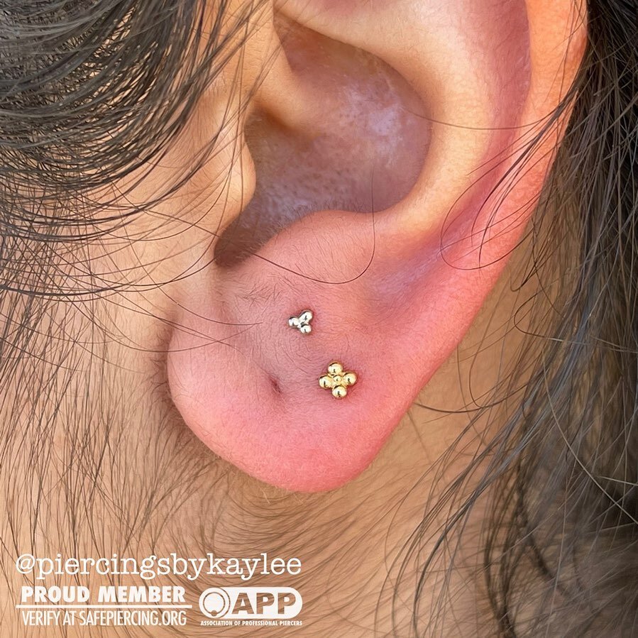 Cute &amp; classy stacked earlobe piercings. With mixed golds in mind. We went with cute 4 bead and 3 bead clusters in 14k yellow &amp; white gold ✨
.
.
.
#piercing #piercings #pierced #gold #goldlove #finejewelry #safepiercing #appmember #earlobepie