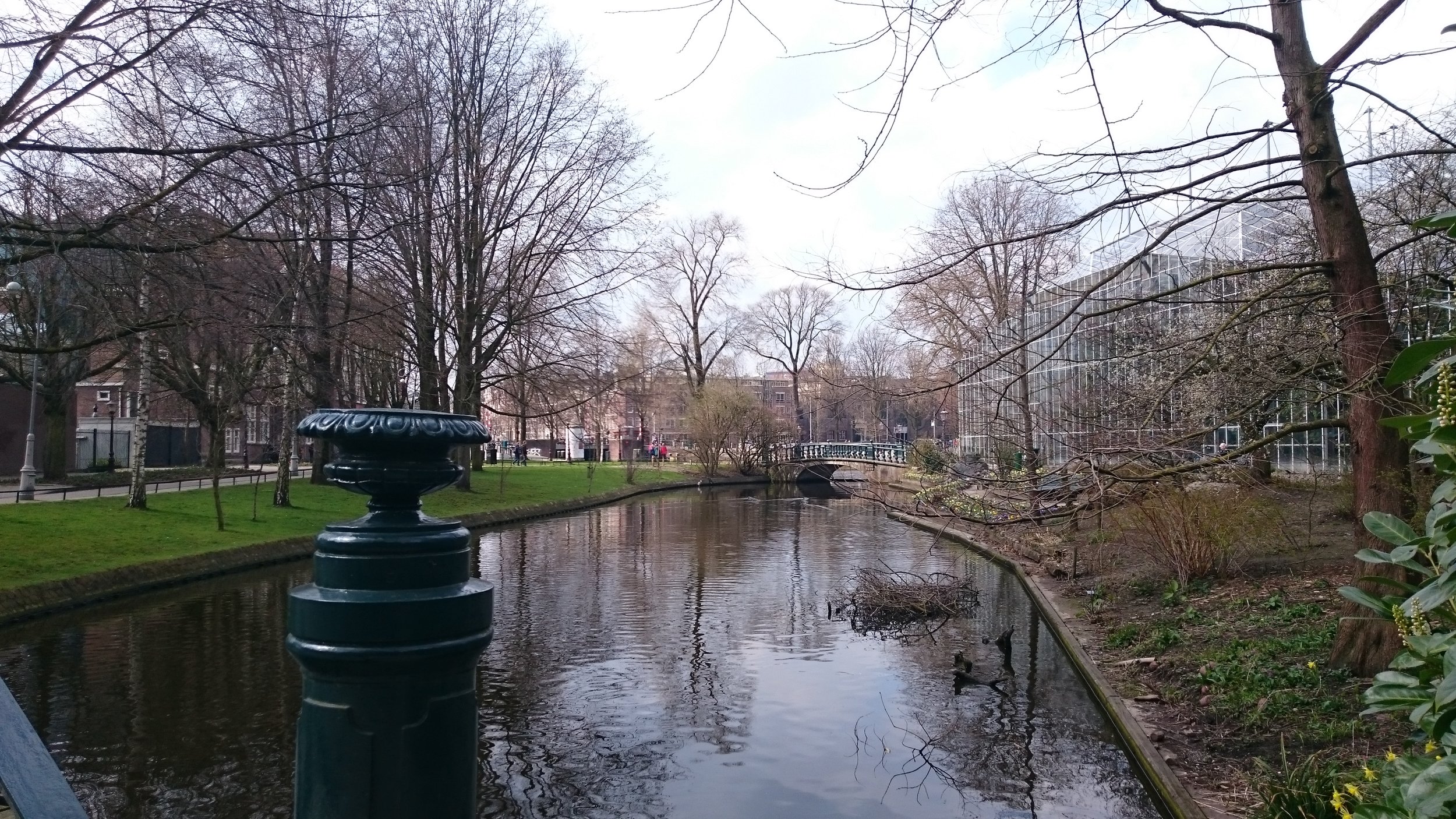 DSC_0803.JPG