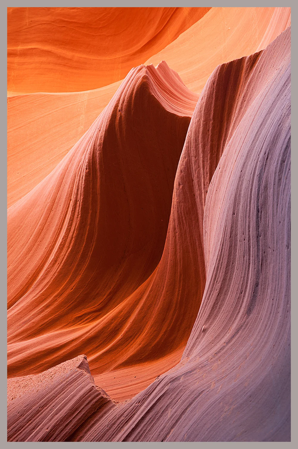 Antelope 2 Stroked.jpg