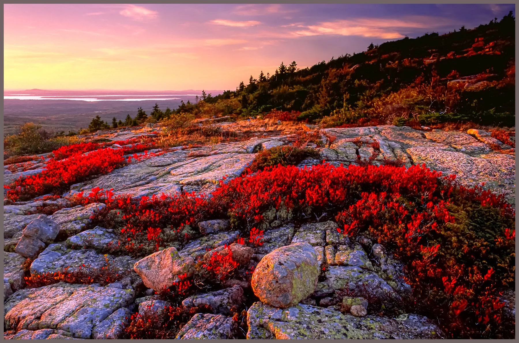 Granit and Grace.jpg