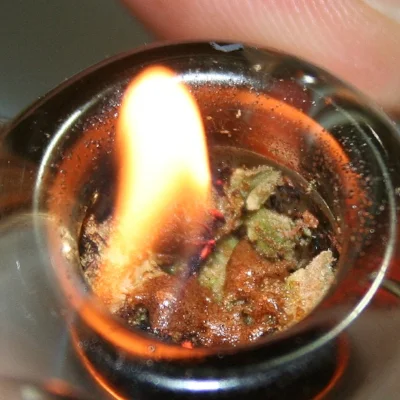 The only proper way to 'destroy' cannabis, in our opinion