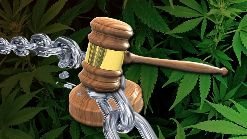 freeourweedwarriors.jpg