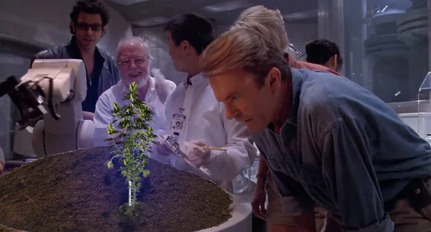 goldblooooom420.jpg