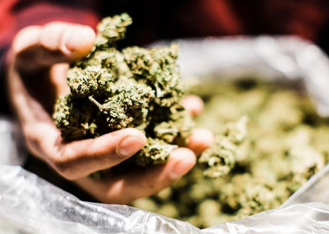 emeraldcup.jpg