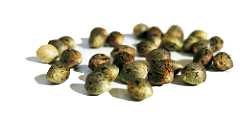 seeds2.png