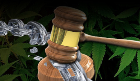 expungement1.png